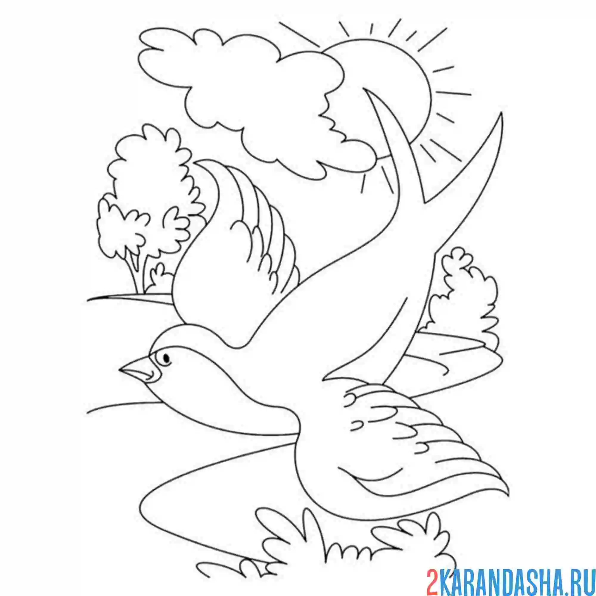 Раскраска весна ласточка и солнце