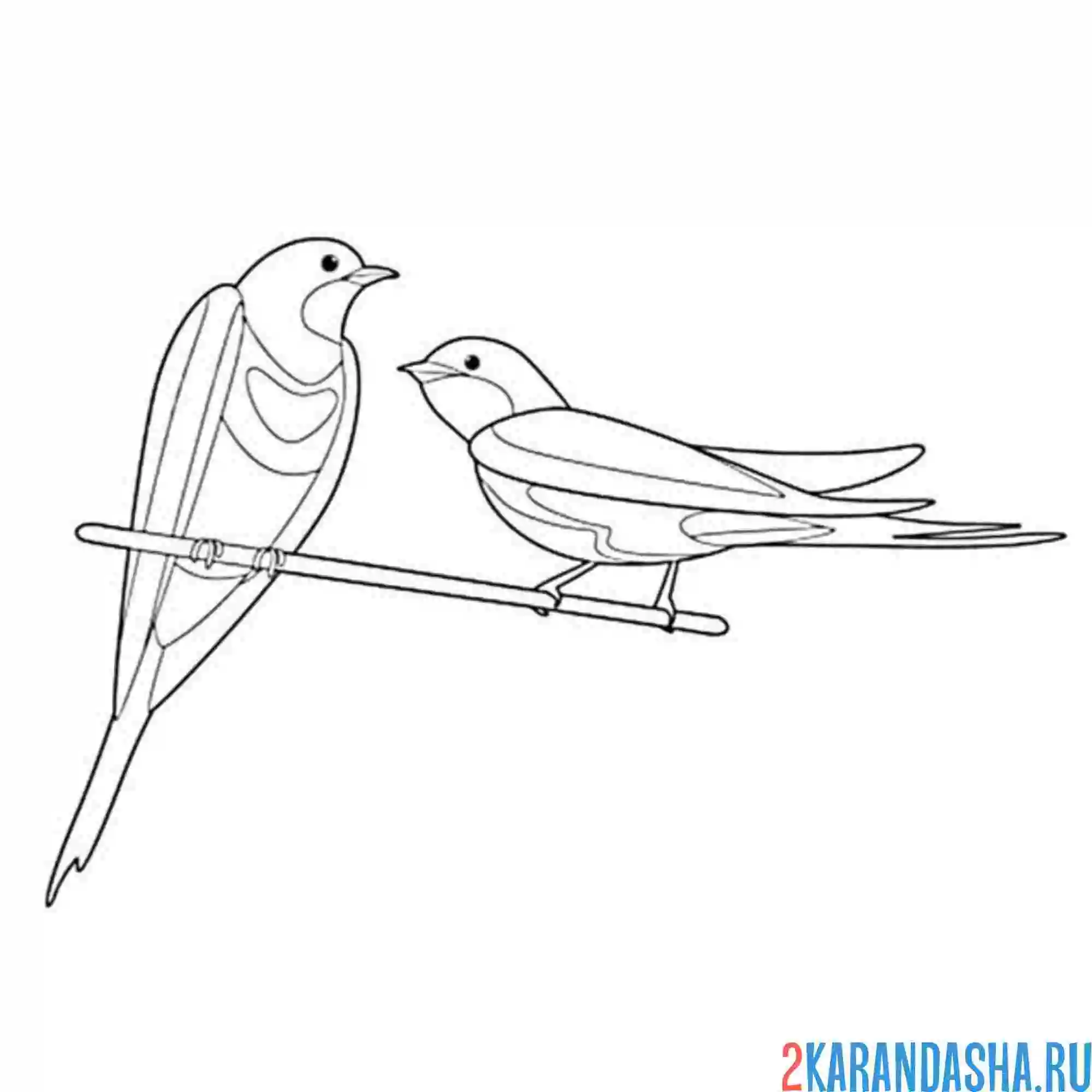 Раскраска ласточки мальчик и девочка
