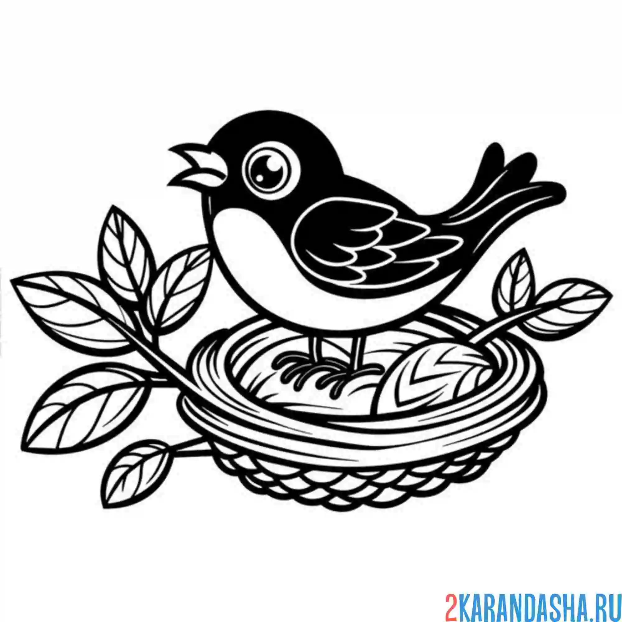 Раскраска птичка и гнездо
