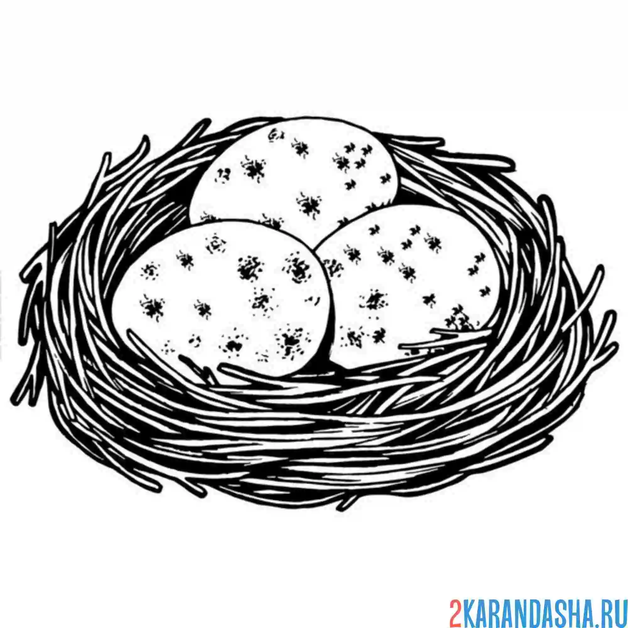 Раскраска три яйца в гнезде
