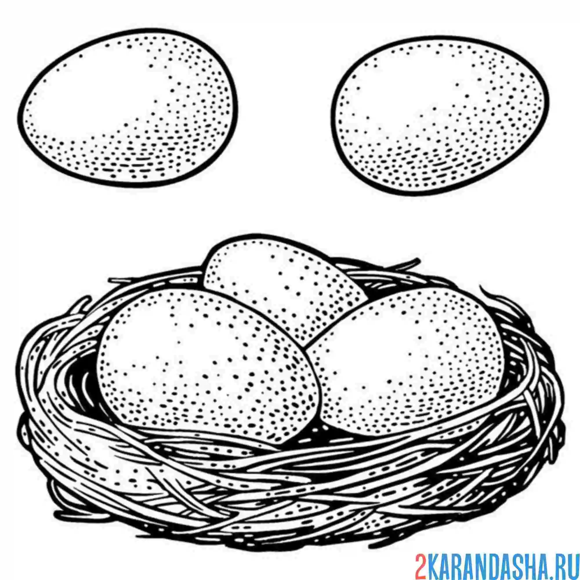 Раскраска три больших яйца в гнезде