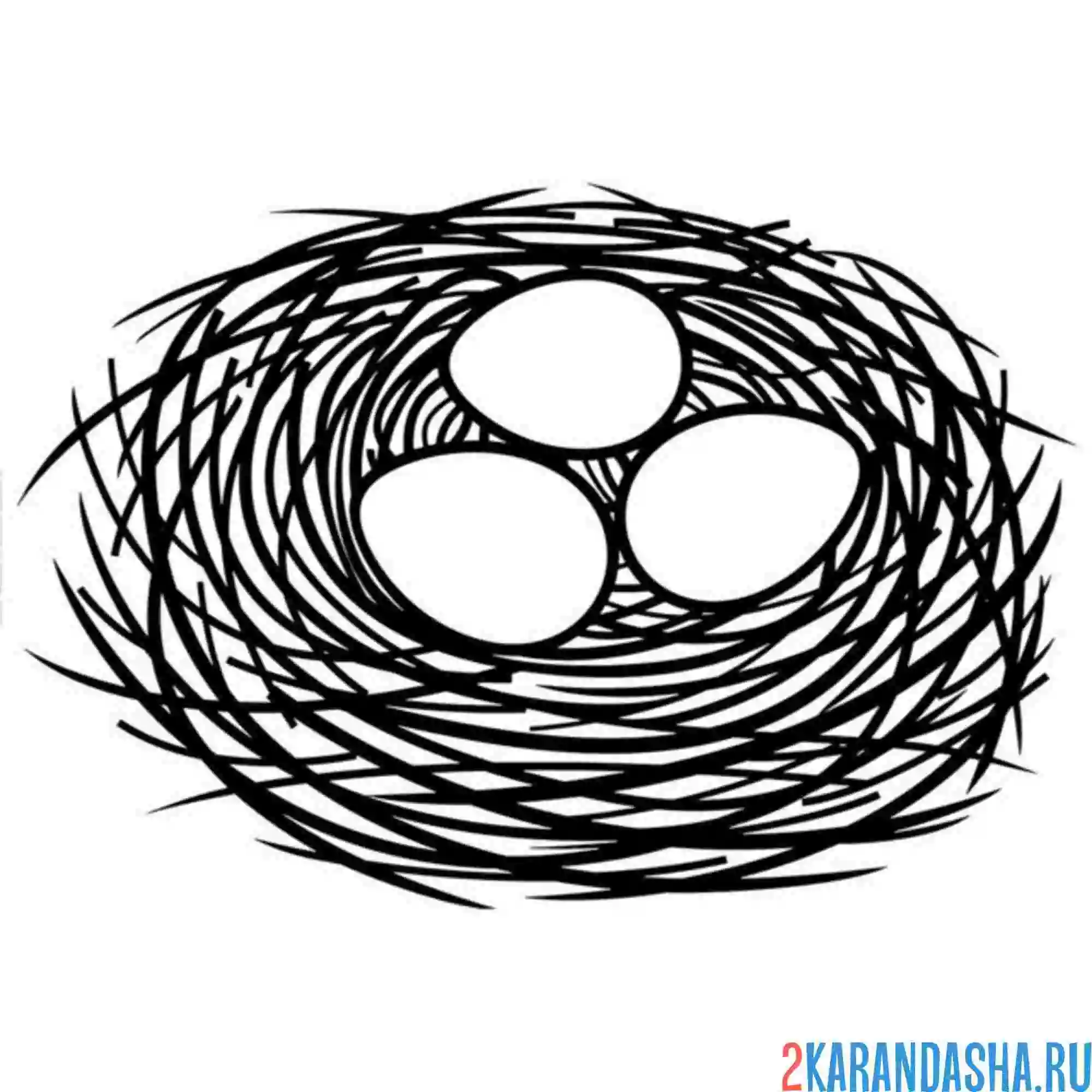 Раскраска небольшое гнездо