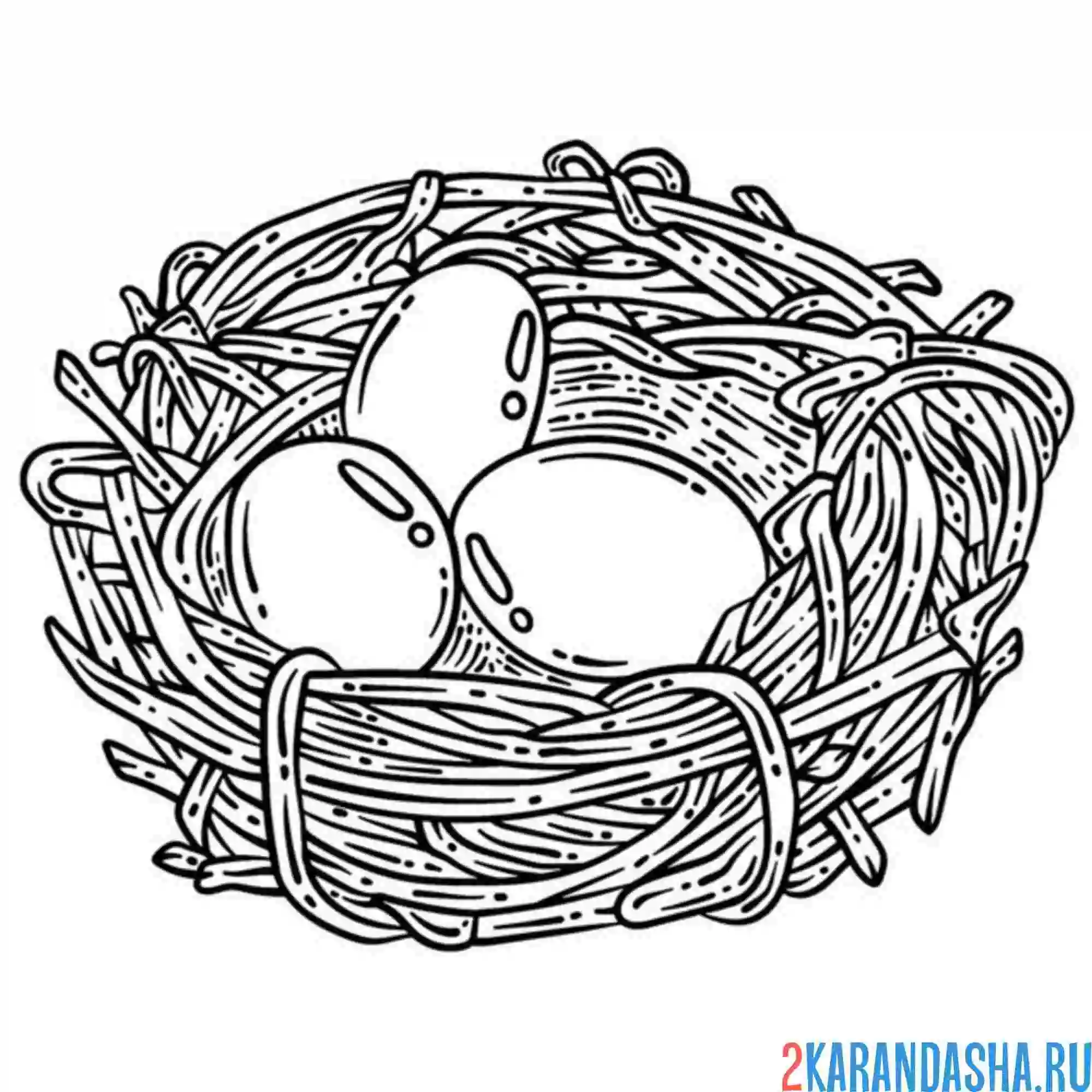 Раскраска гнездо и три яйца