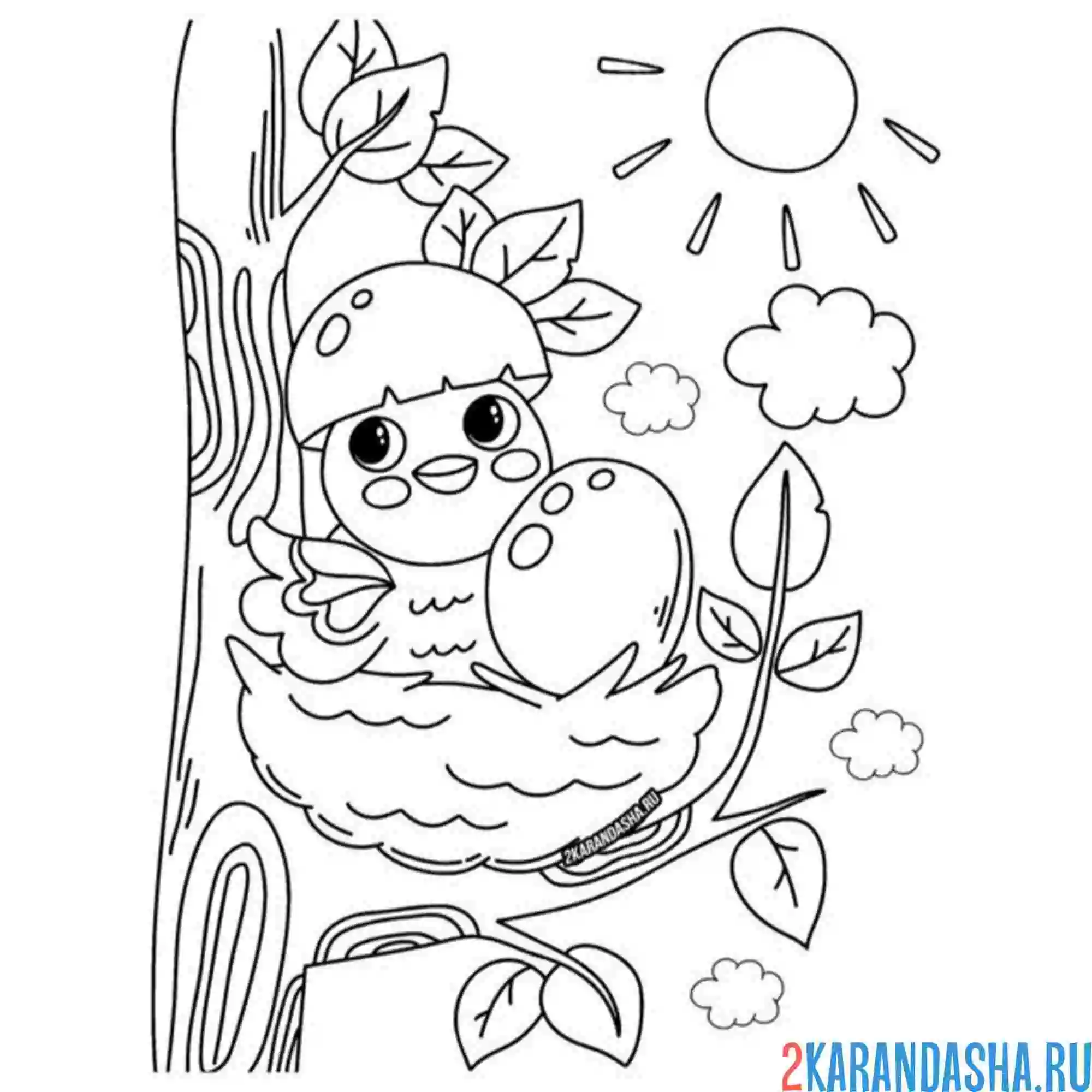 Раскраска птенчик в гнезде вылупился