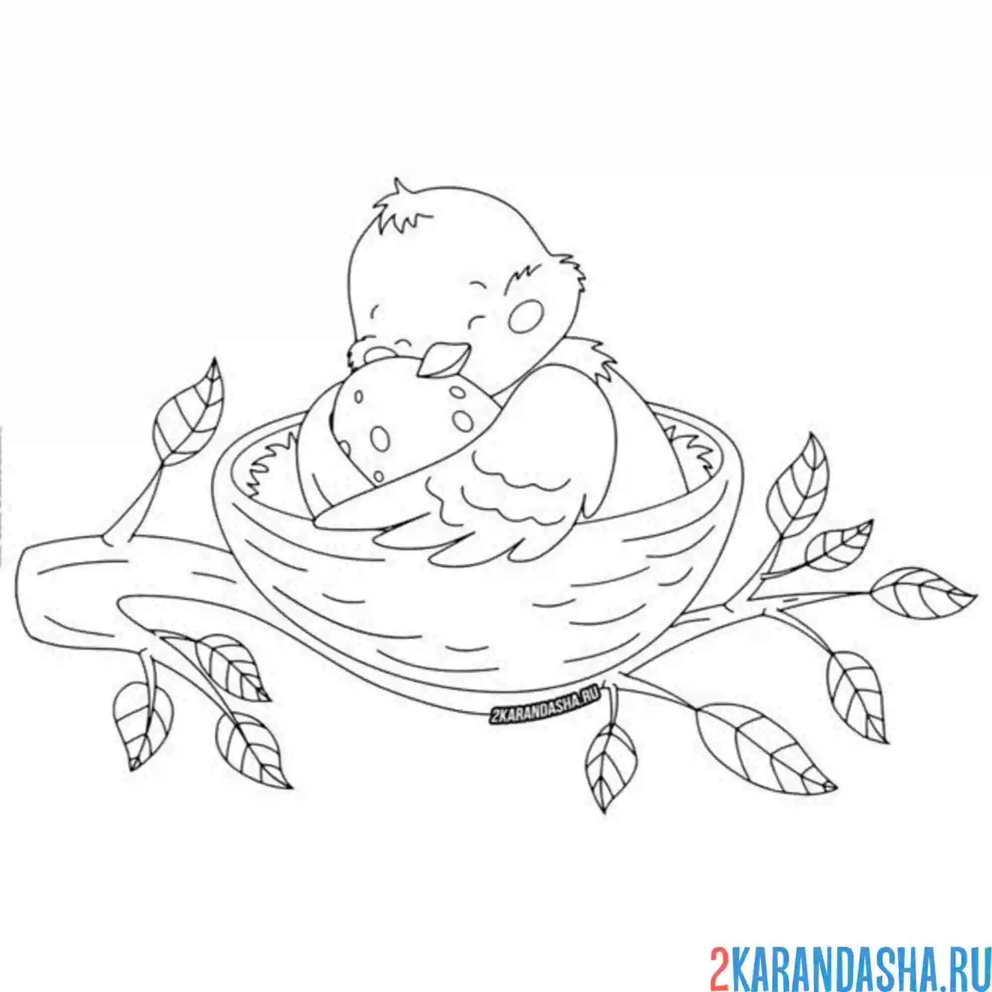 Раскраска мама птичка в гнезде с яйцом