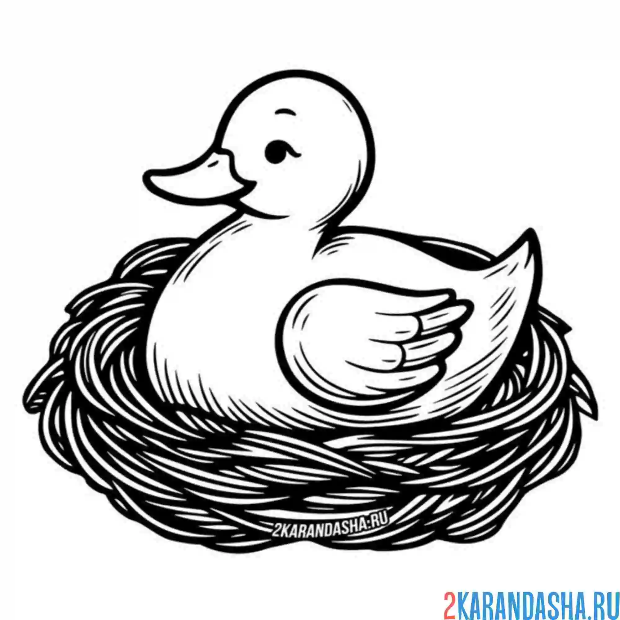 Раскраска уточка в гнезде