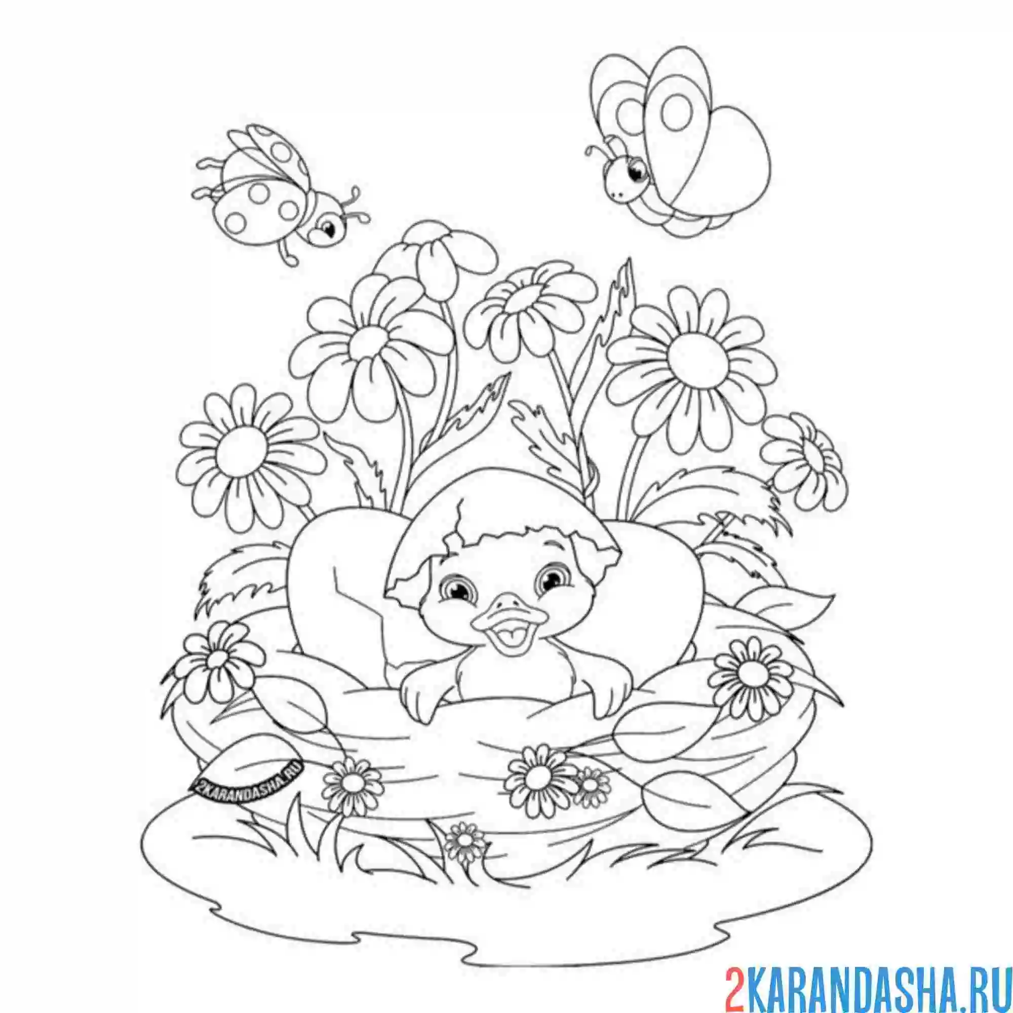 Раскраска утенок в гнезде и бабочки