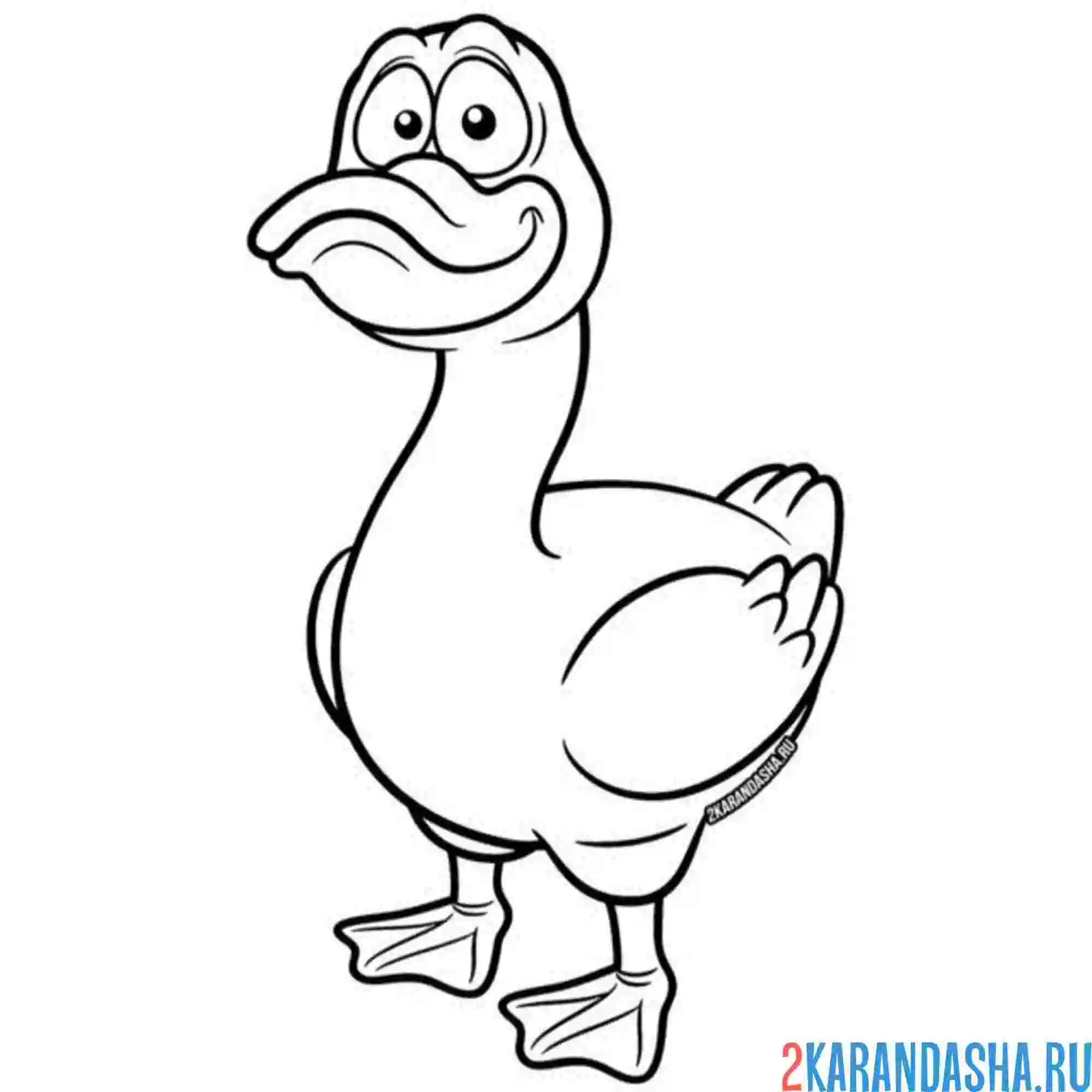 Раскраска смешной гусь