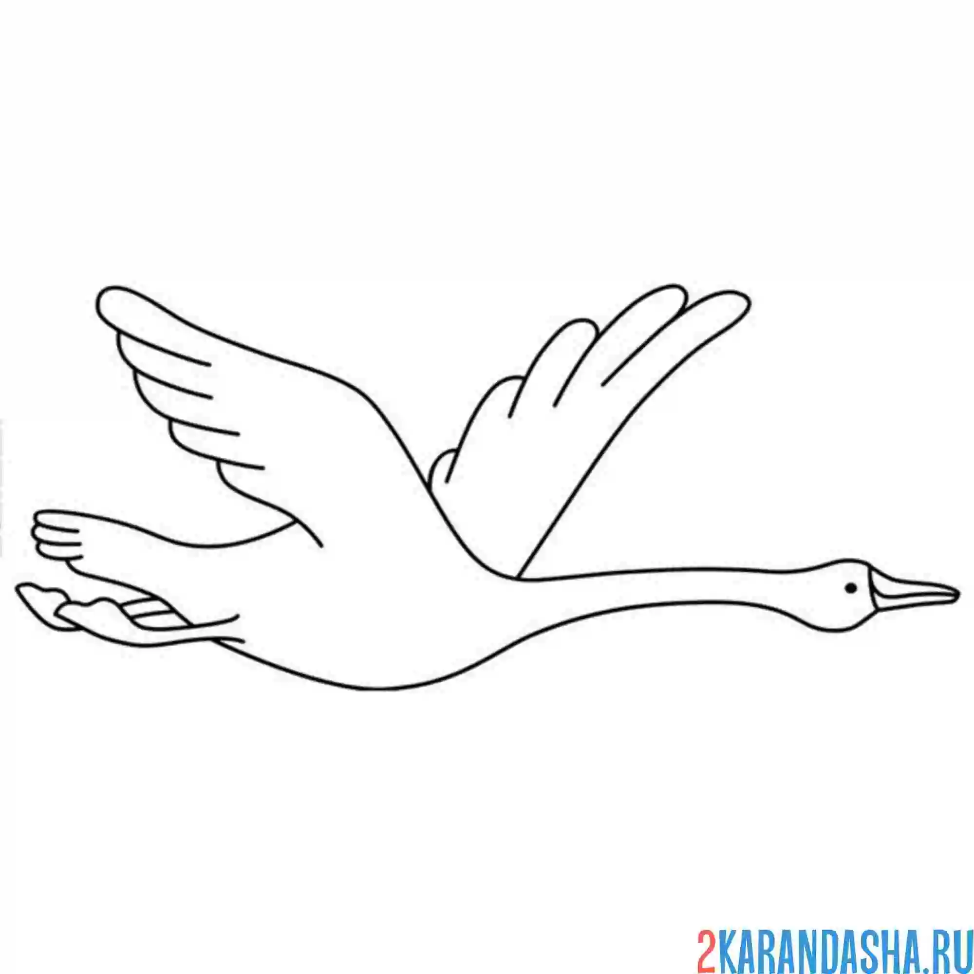 Раскраска гусь летит