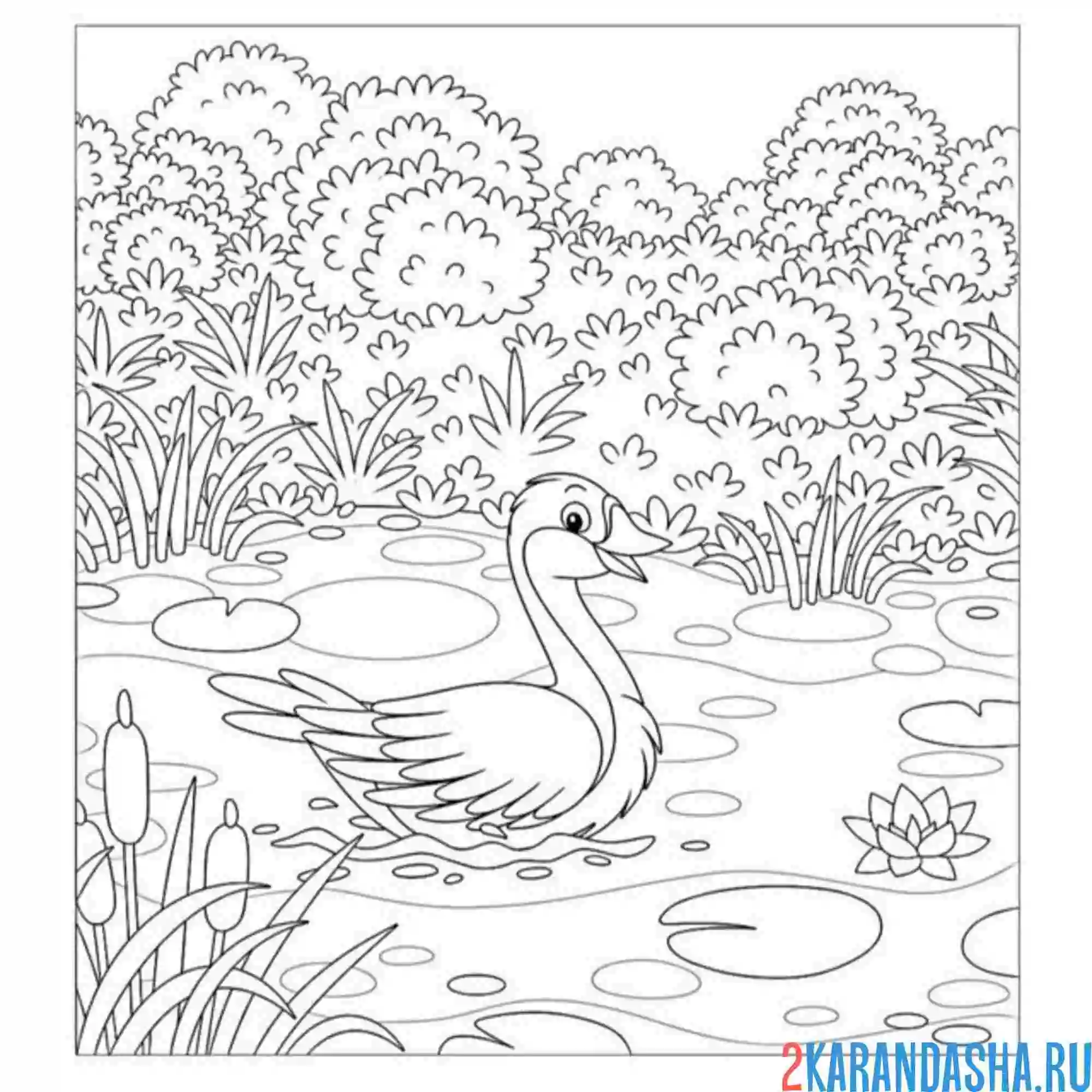 Раскраска гусь на пруду