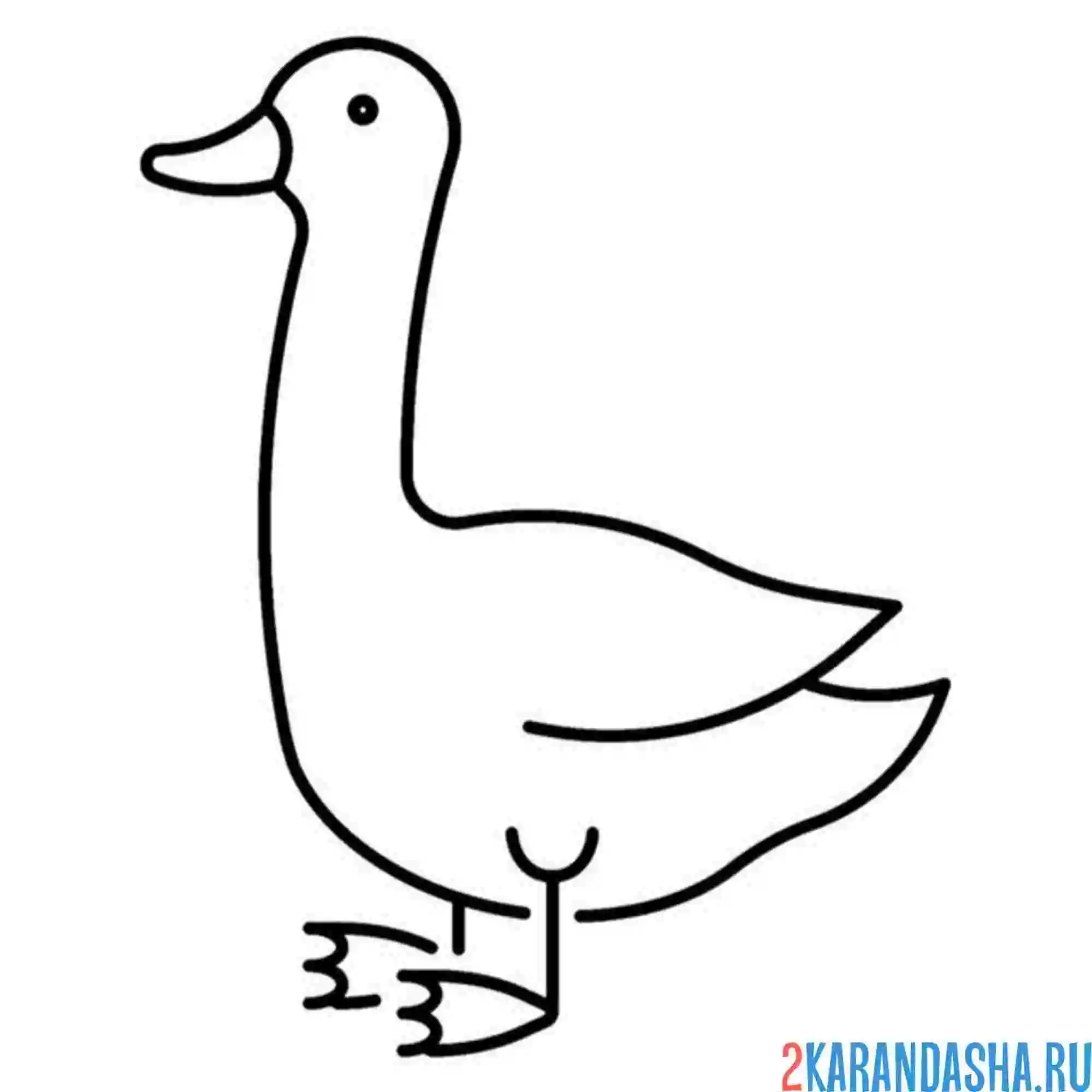 Раскраска гусь просто