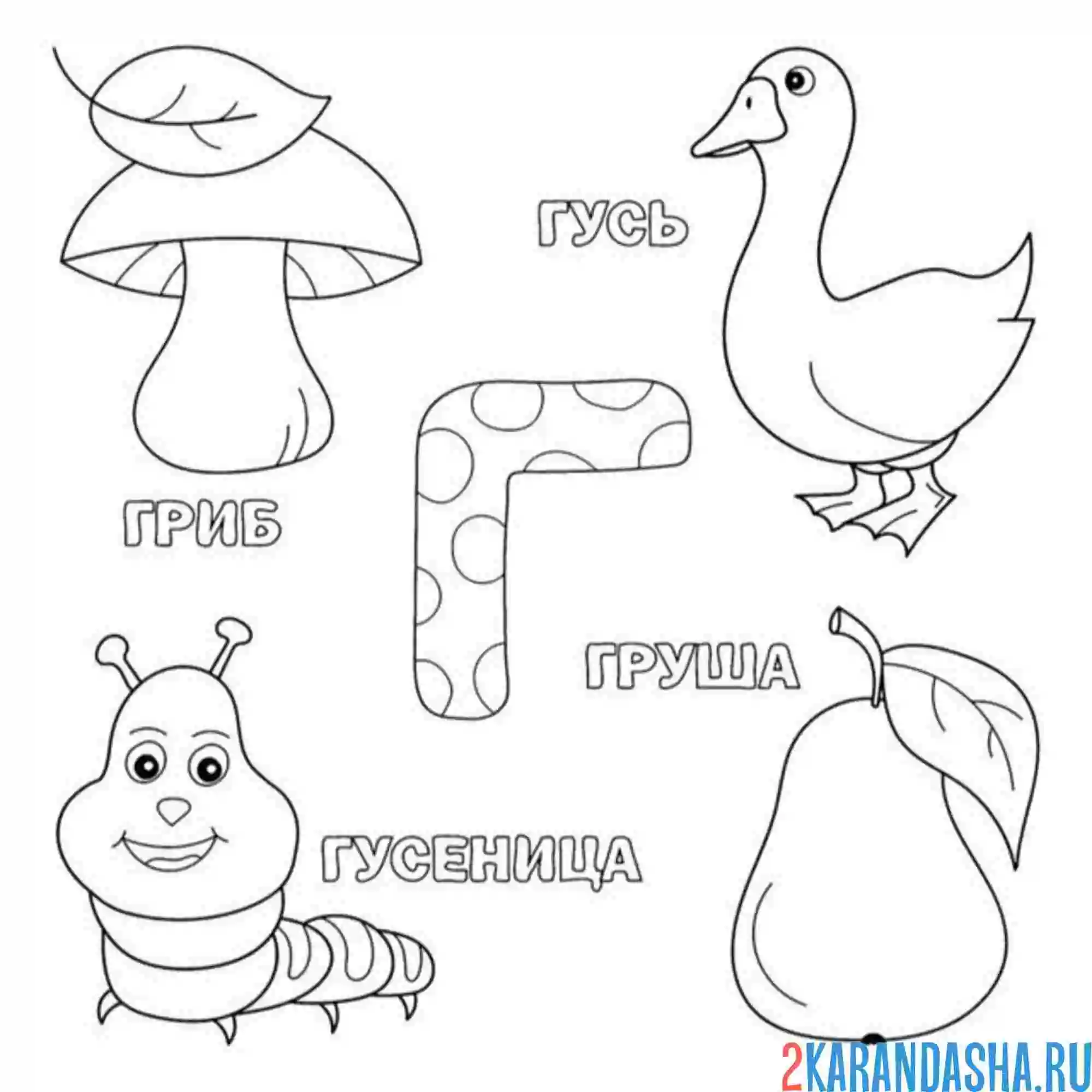 Раскраска гусь, гриб, грушка, гусеница на букву г