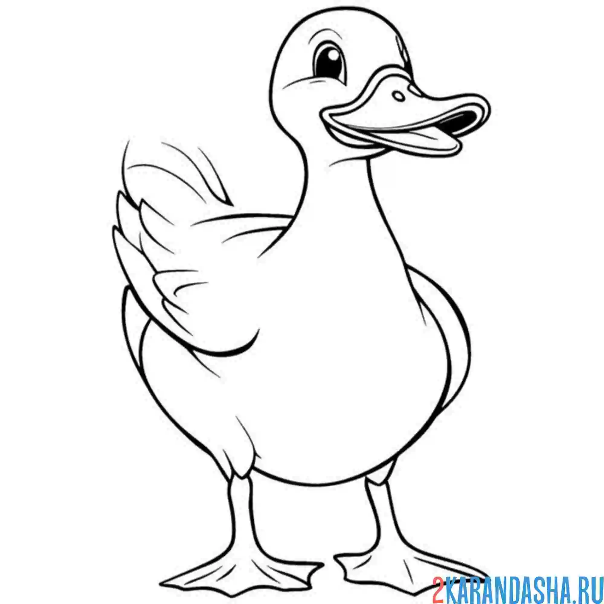 Раскраска утка смеется ха