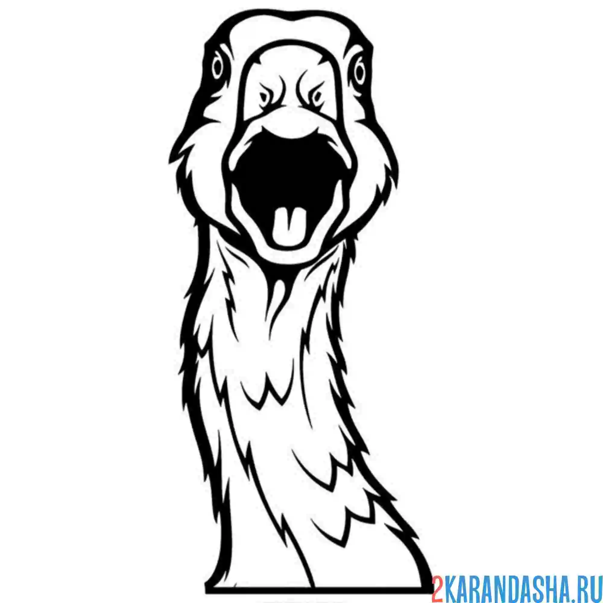 Раскраска гусь орет