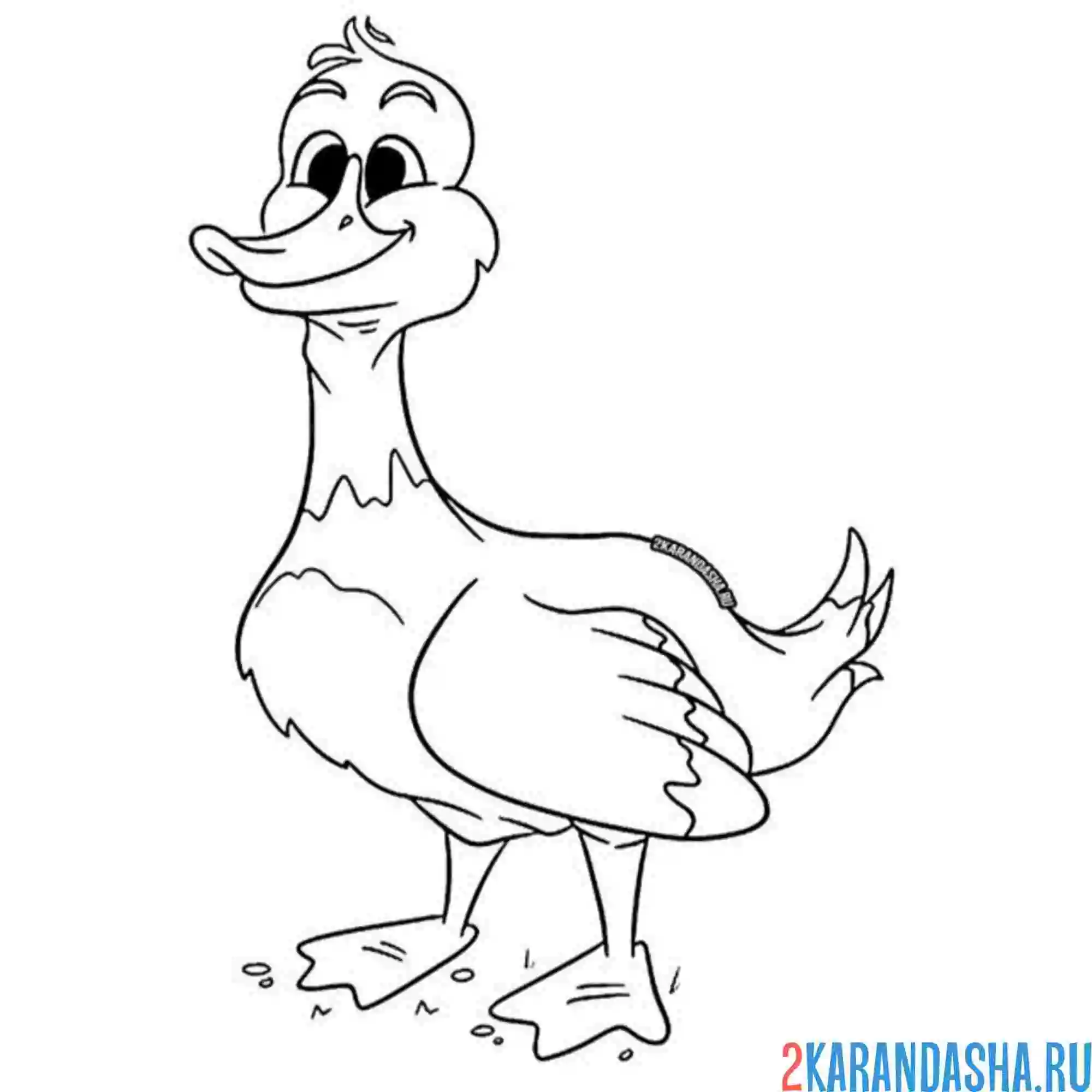 Раскраска смешной гусь мультяшный