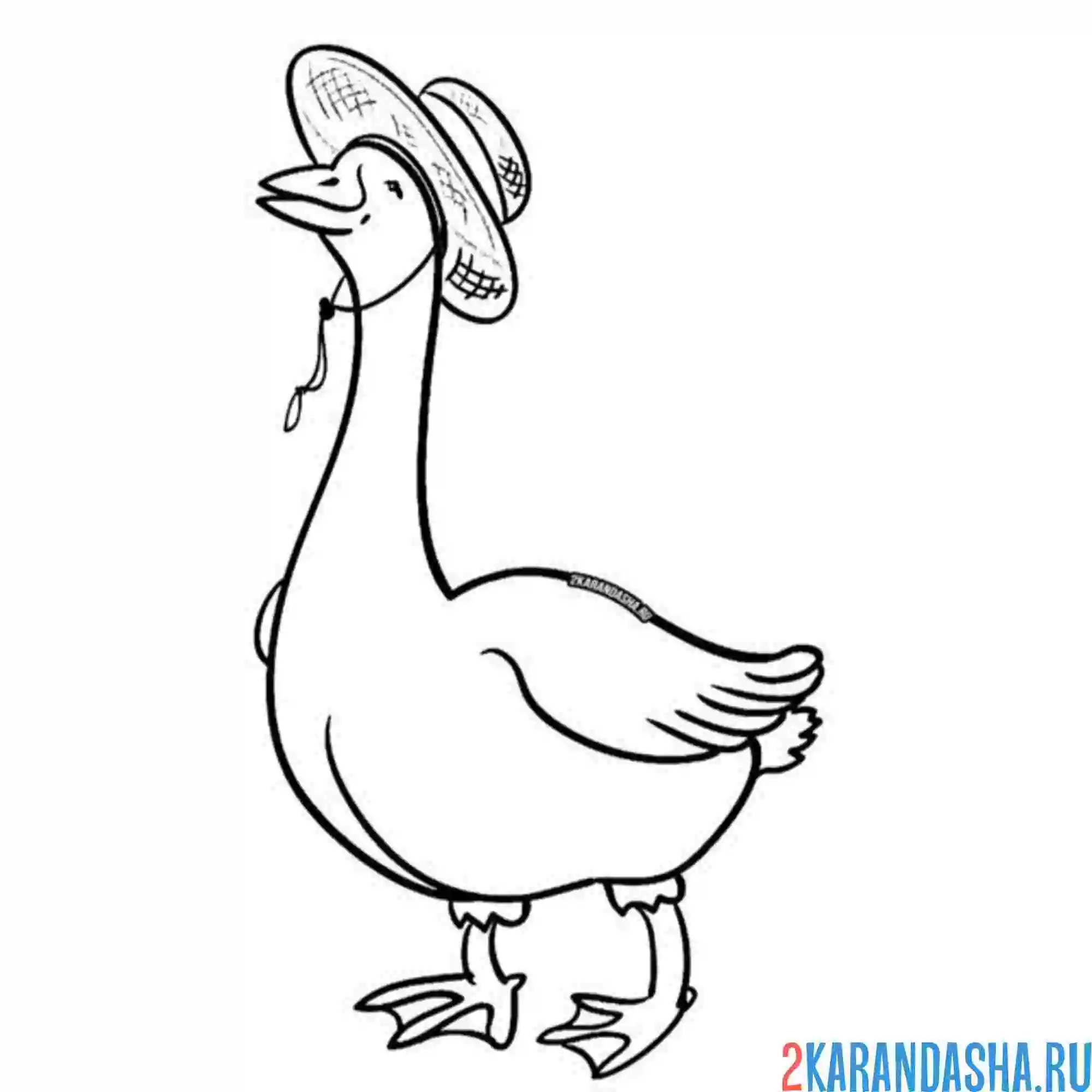 Раскраска гусь в шляпе
