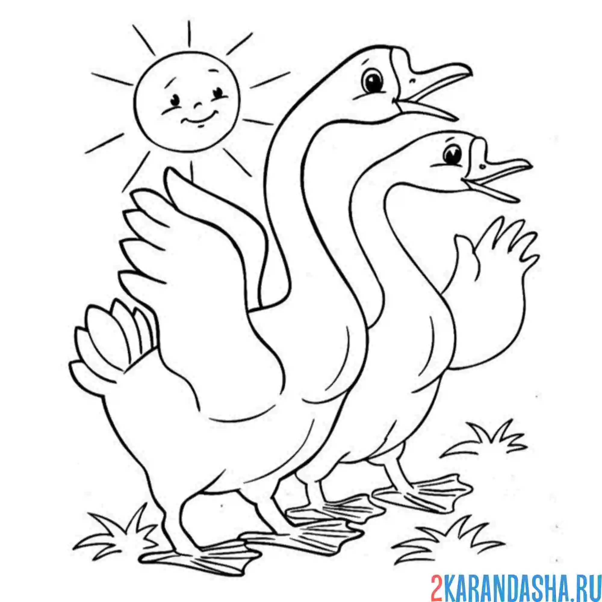 Раскраска два гуся на солнышке