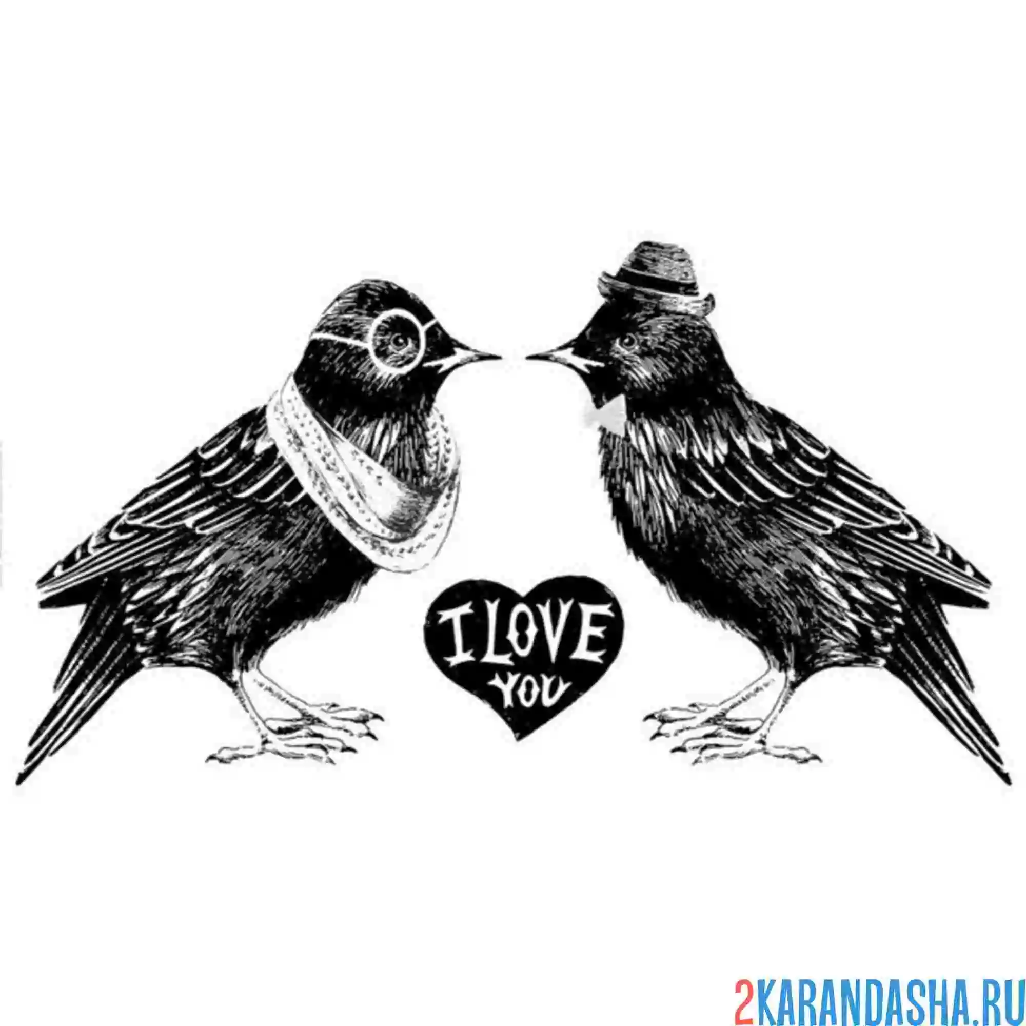 Раскраска скворец и жена