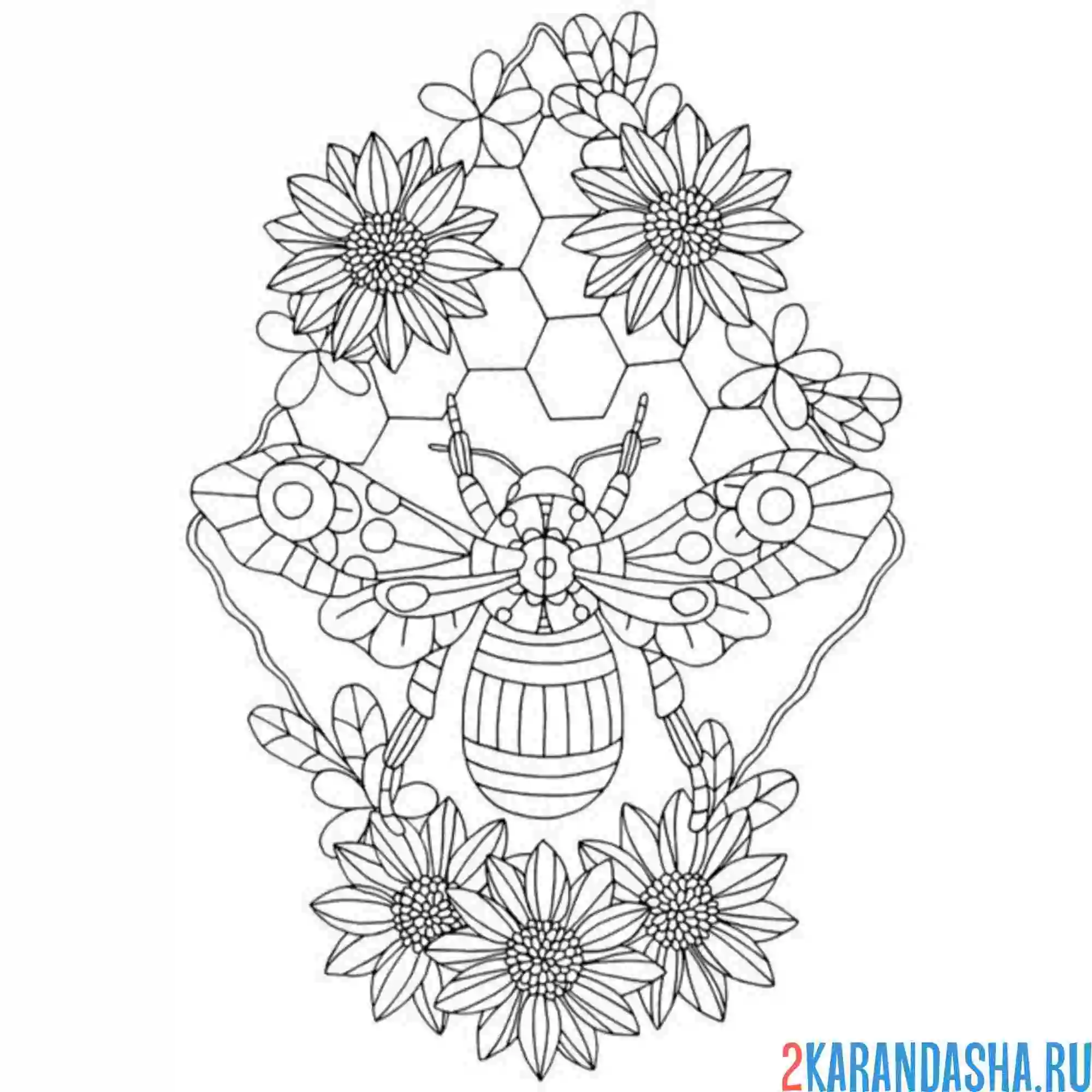 Раскраска подсолнухи и пчелка