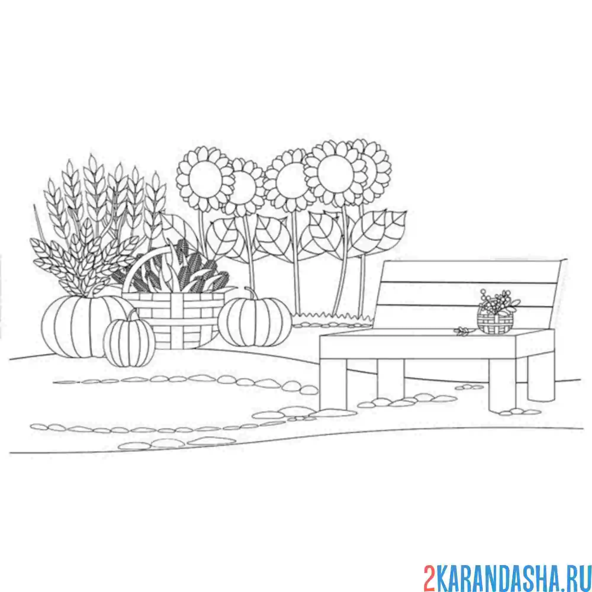 Раскраска подсолнухи и лавочка