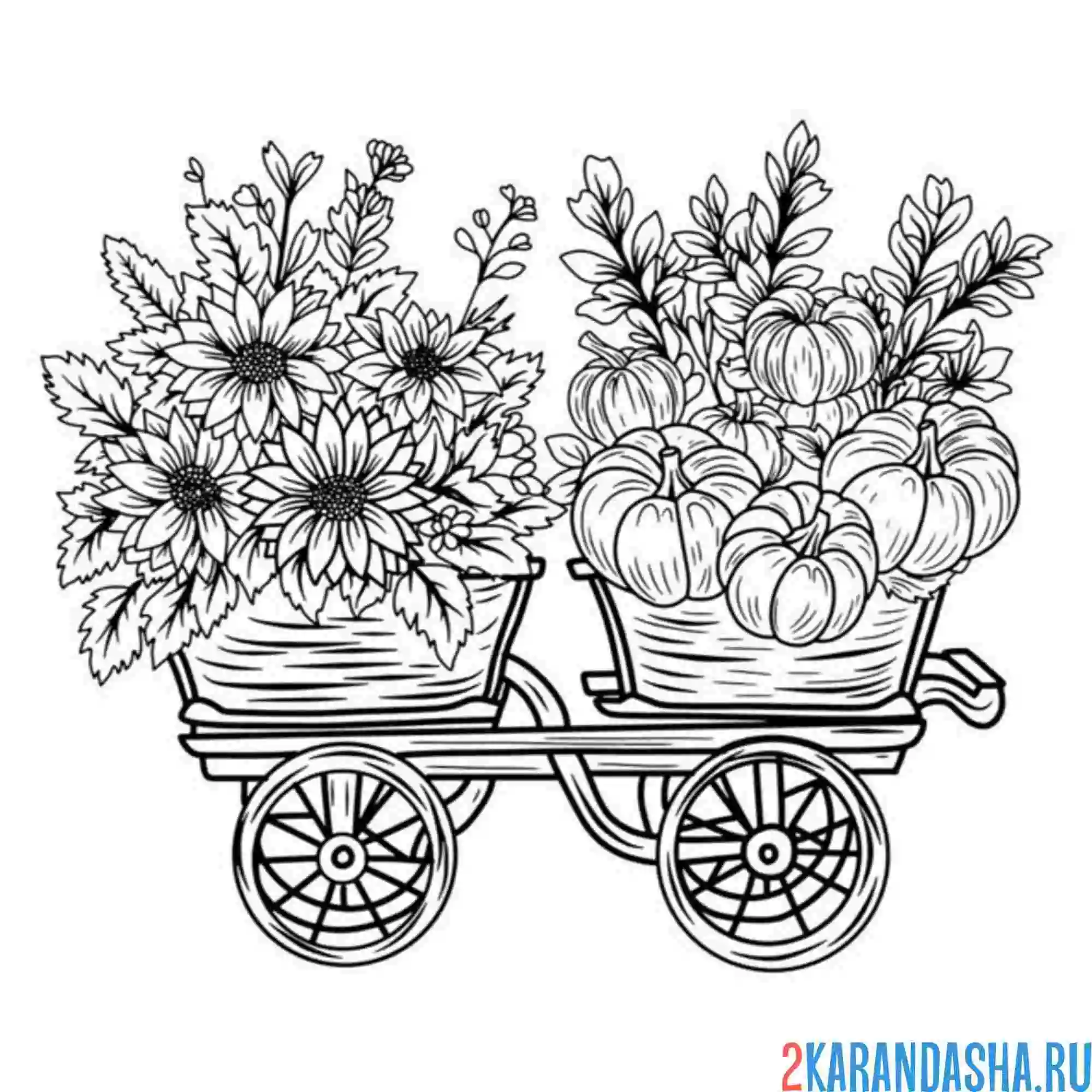Раскраска подсолнухи и тыква на телеге