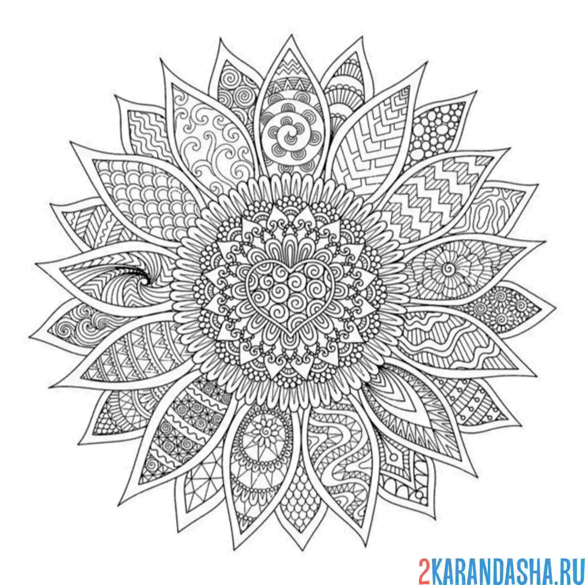 Раскраска подсолнух антистрес