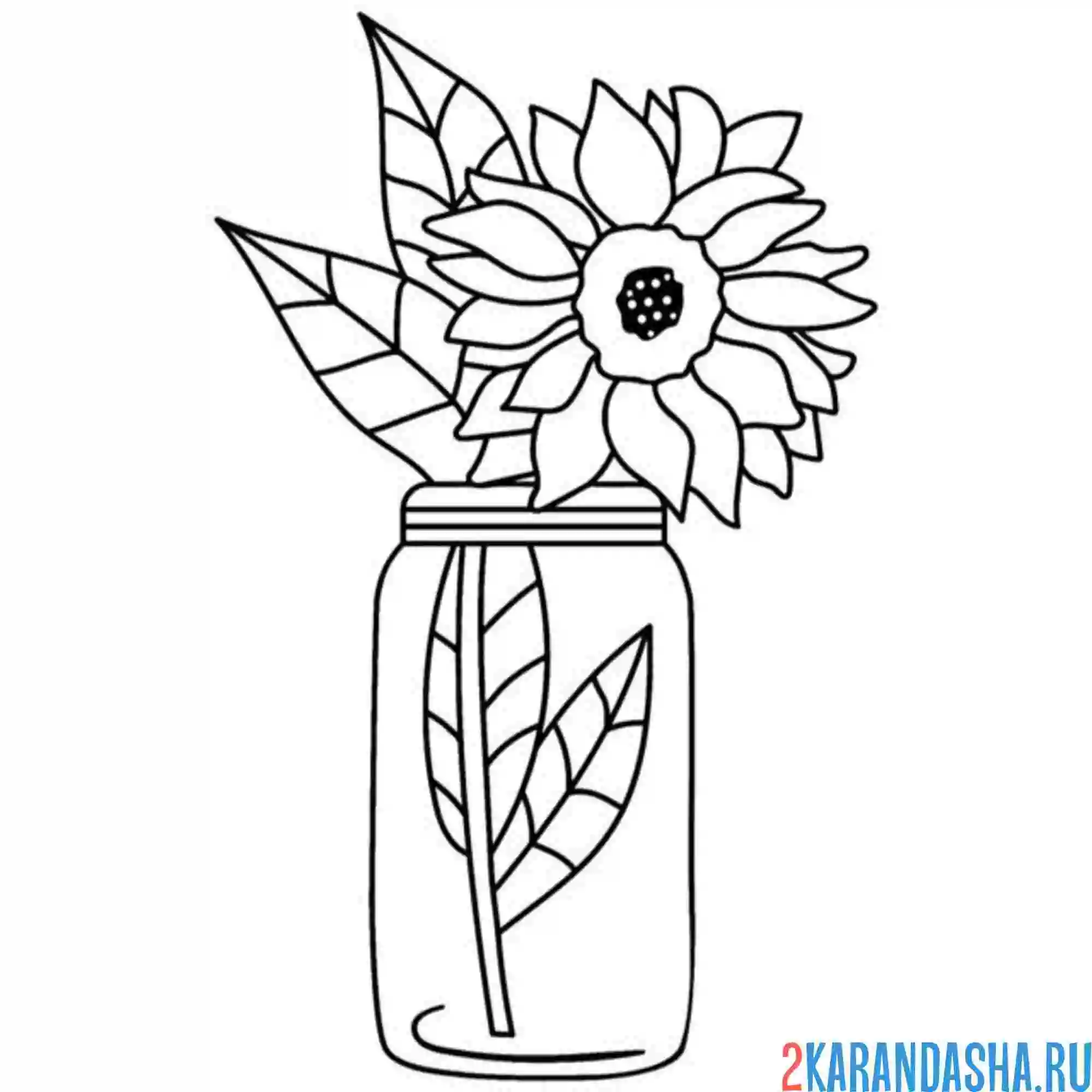 Раскраска подсолнух в банке