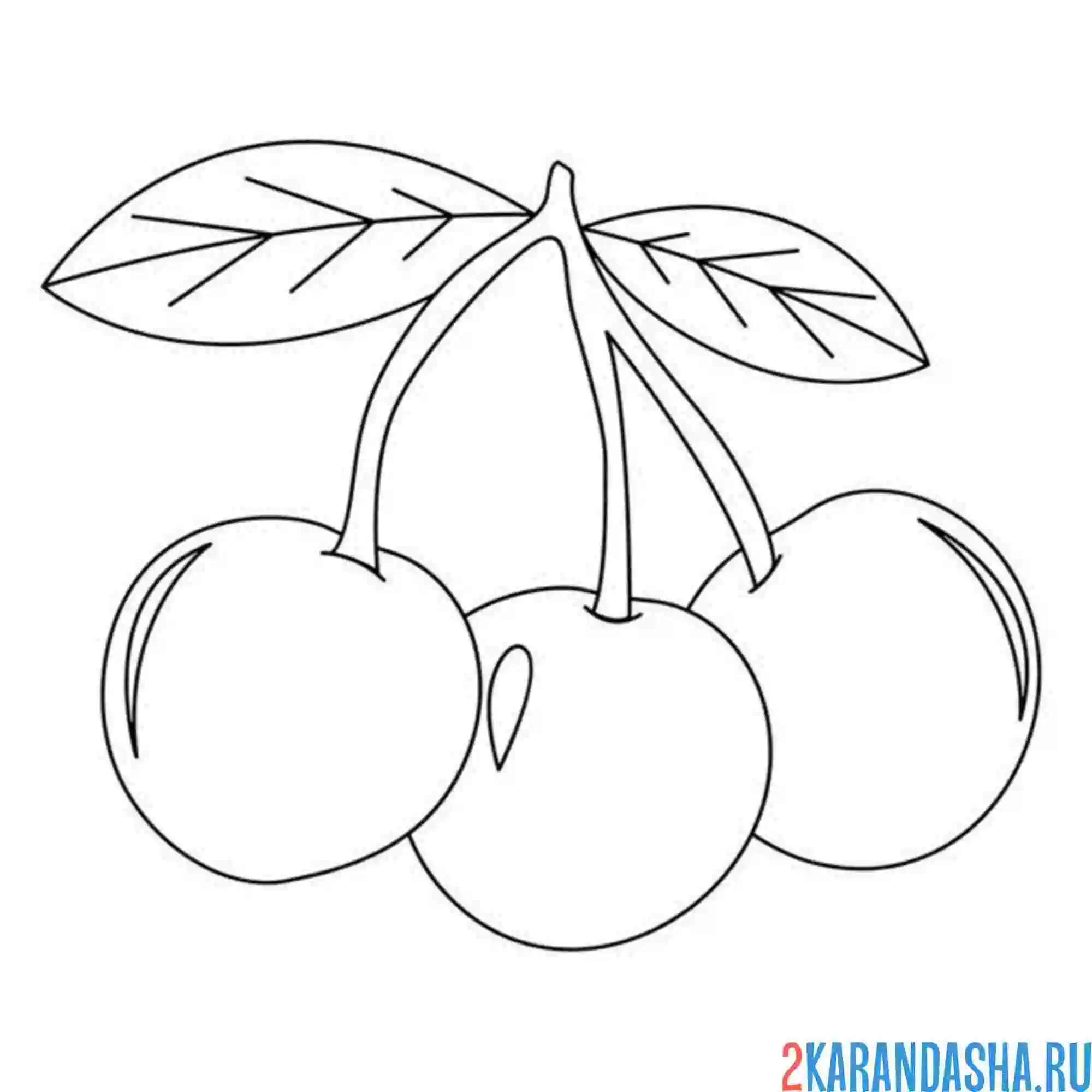 Раскраска три вишенки