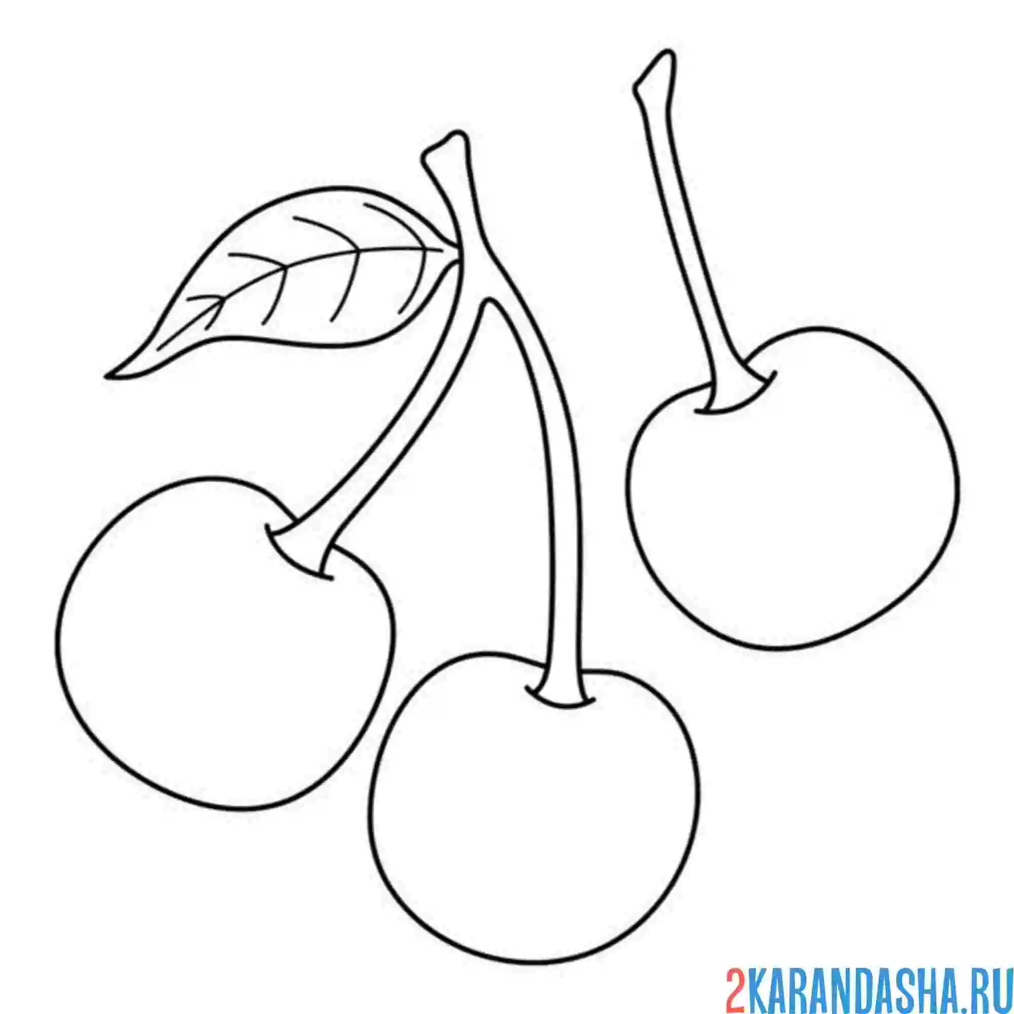 Раскраска сочная вишня