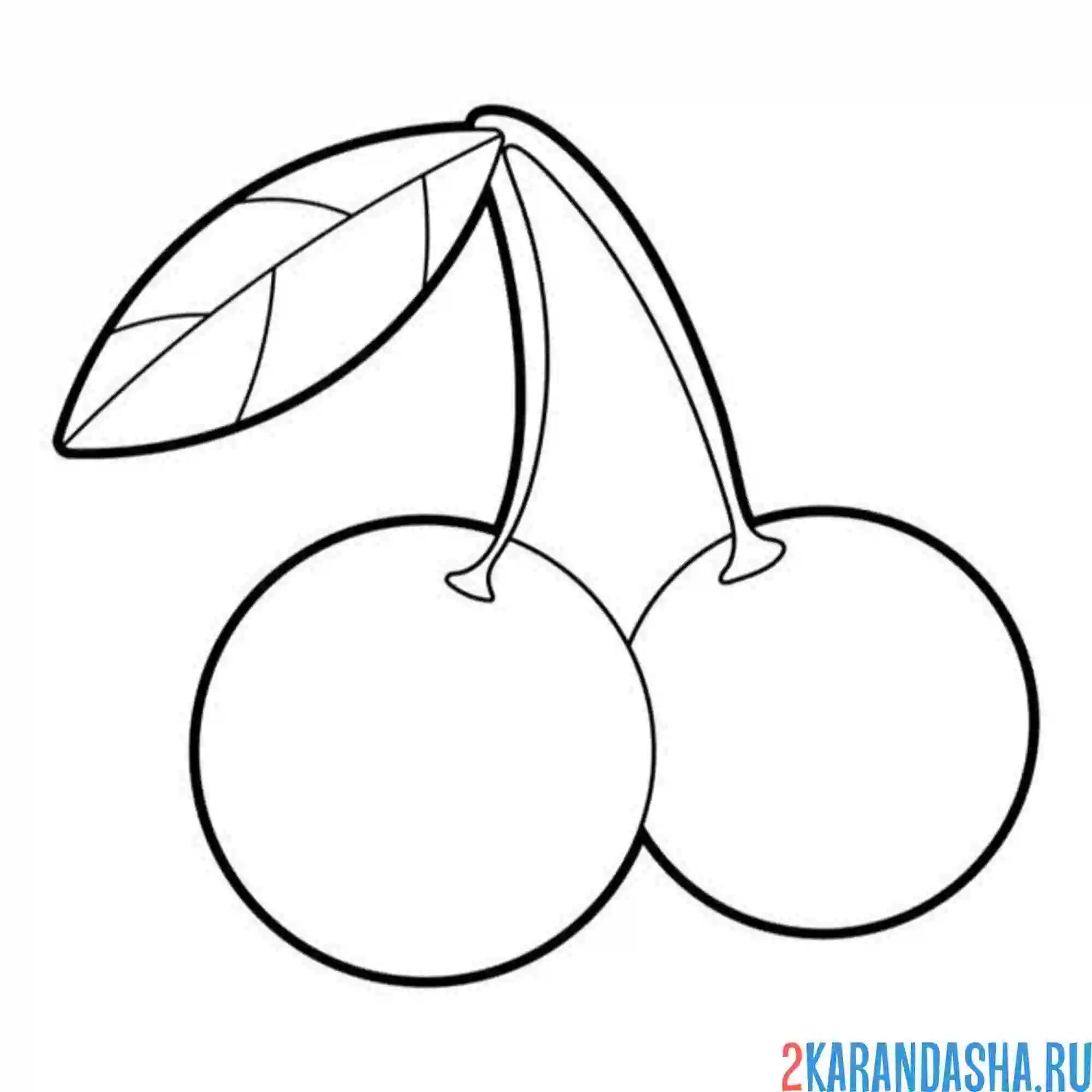 Раскраска вишня сочная