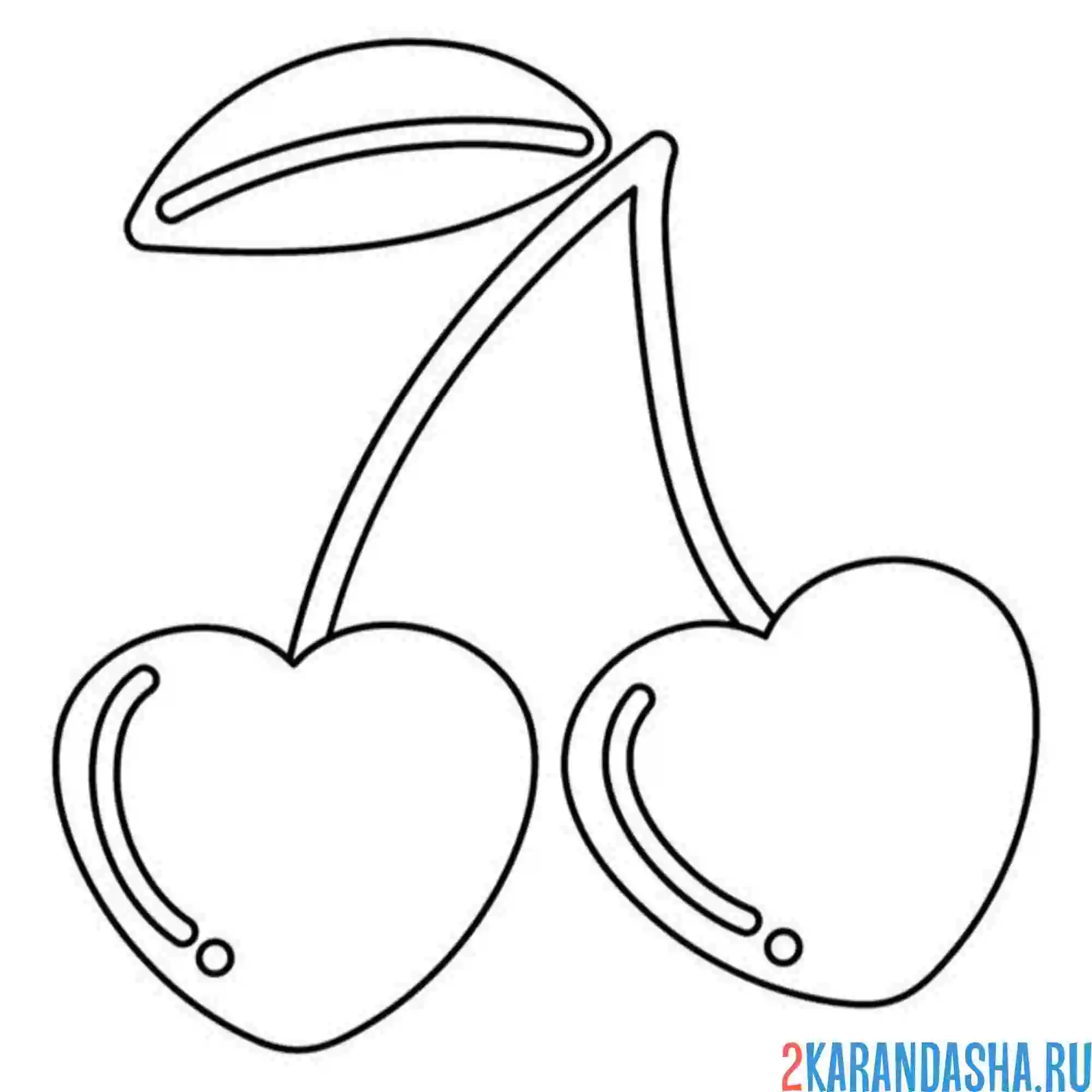 Раскраска черешня сладкая