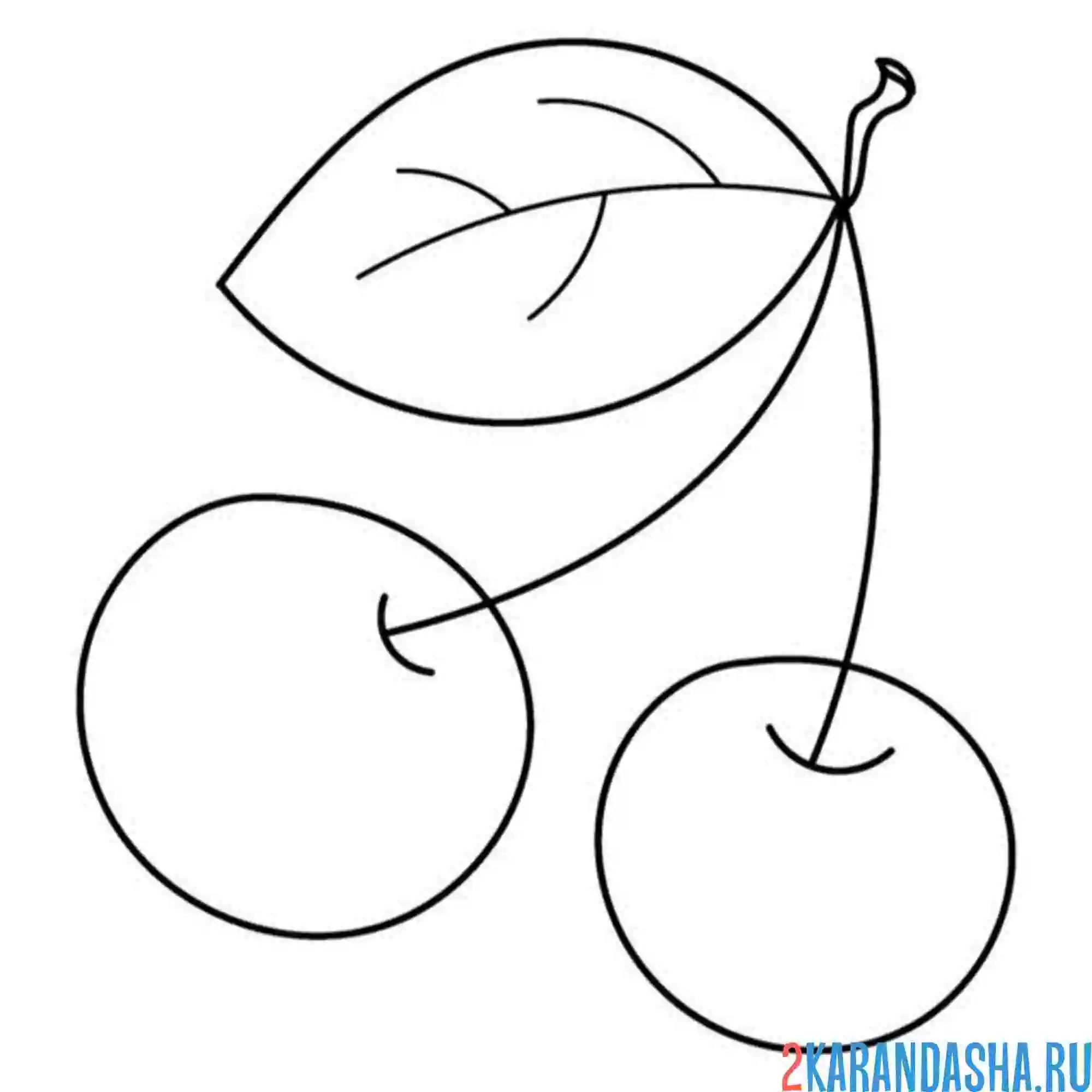 Раскраска красная вишня