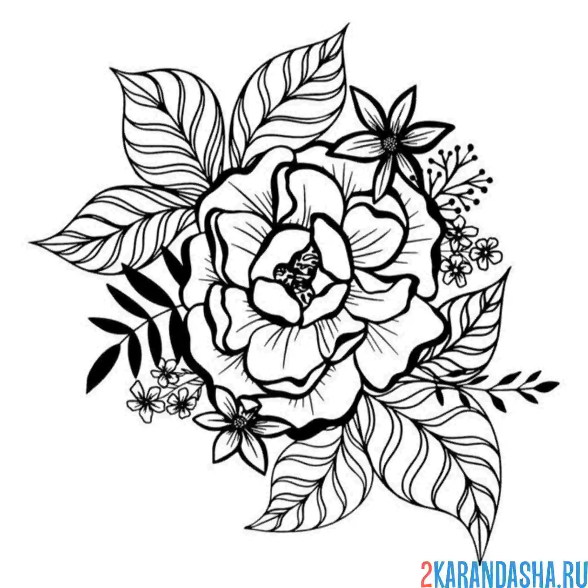 Раскраска пион шаблон для татуировки