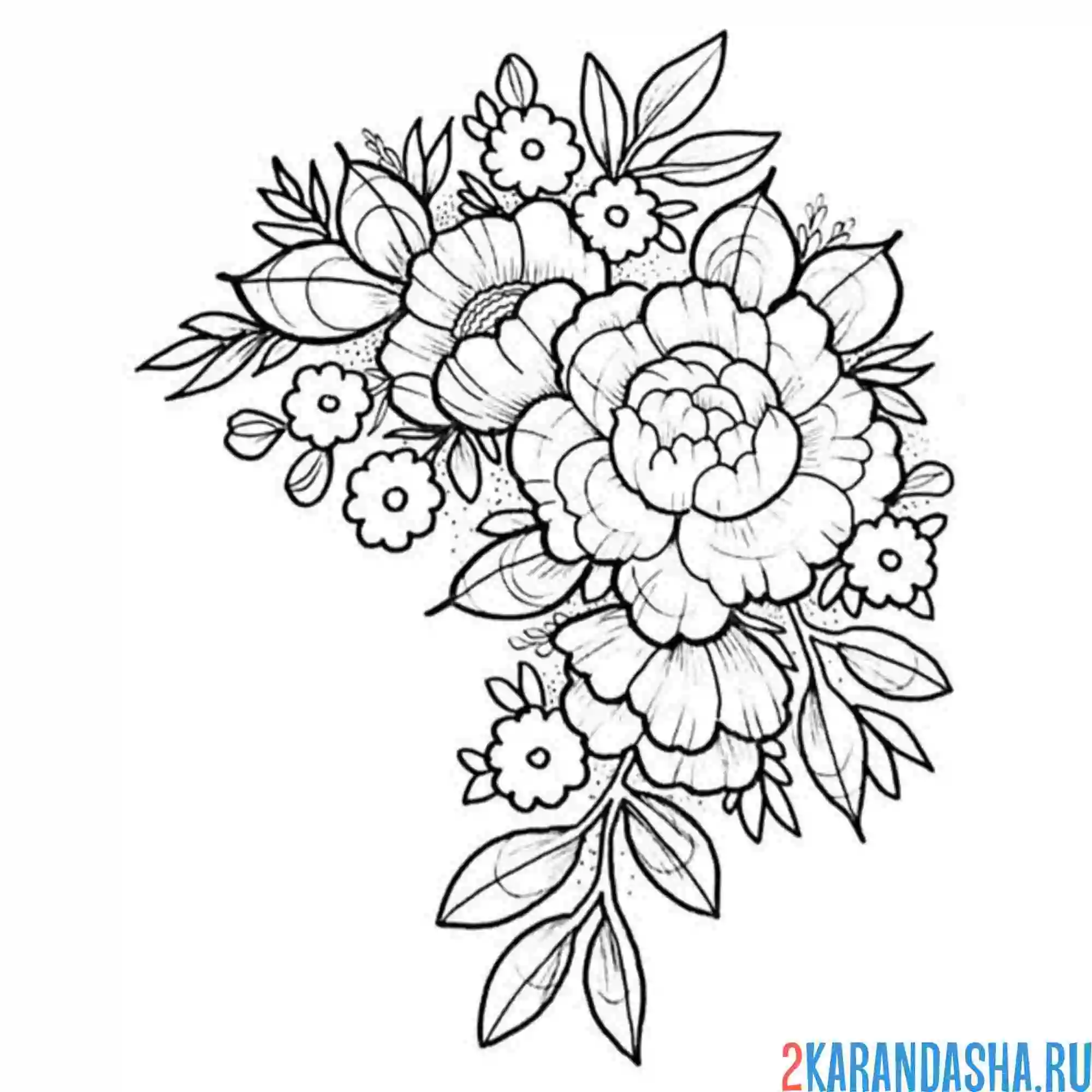 Раскраска пион рисунок несложный