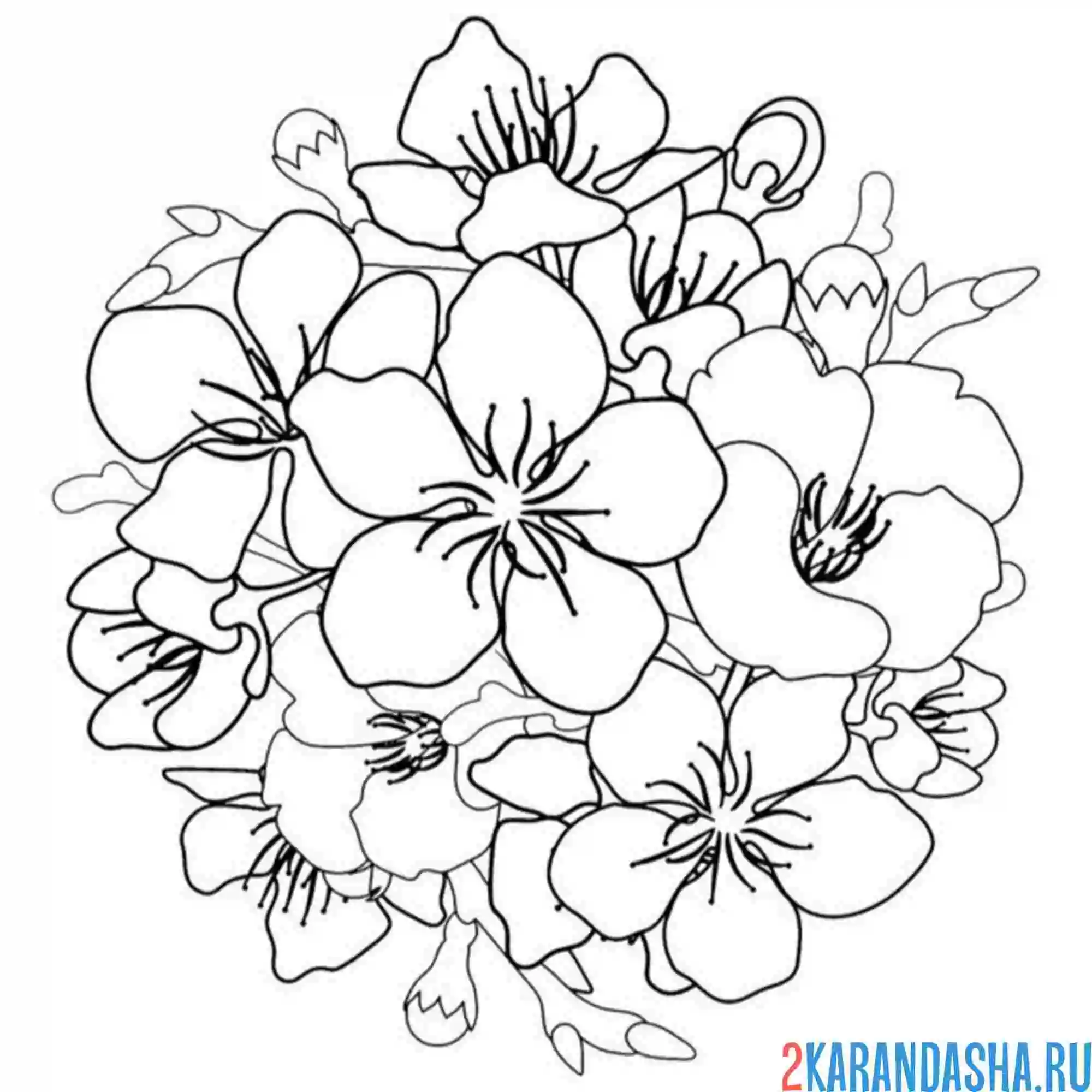 Раскраска букет из сакуры