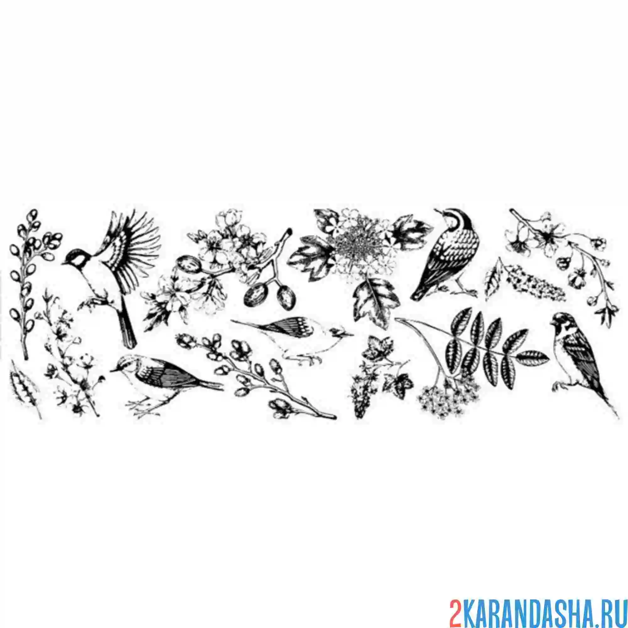 Раскраска орнамент сакура