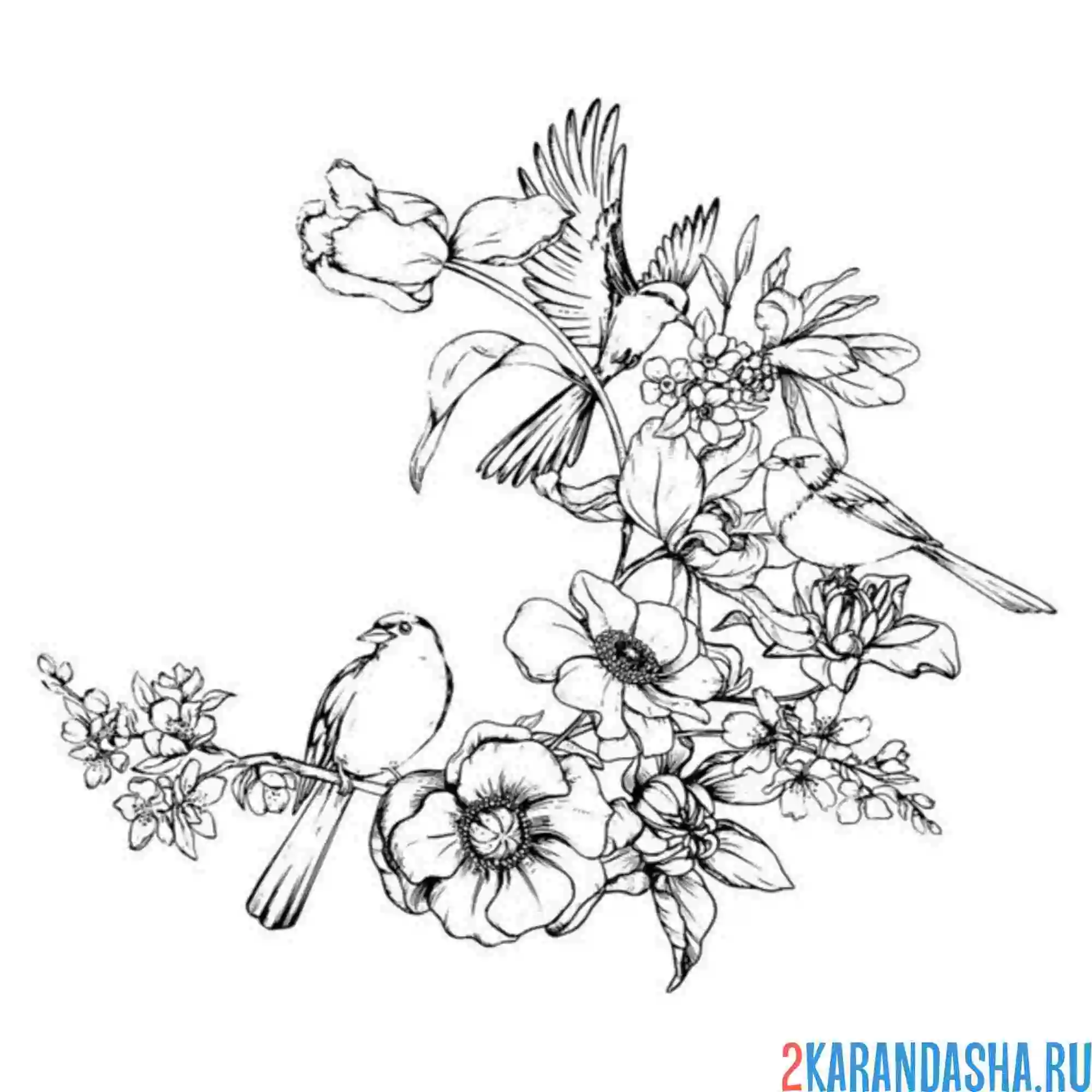 Раскраска птички сидят на ветке