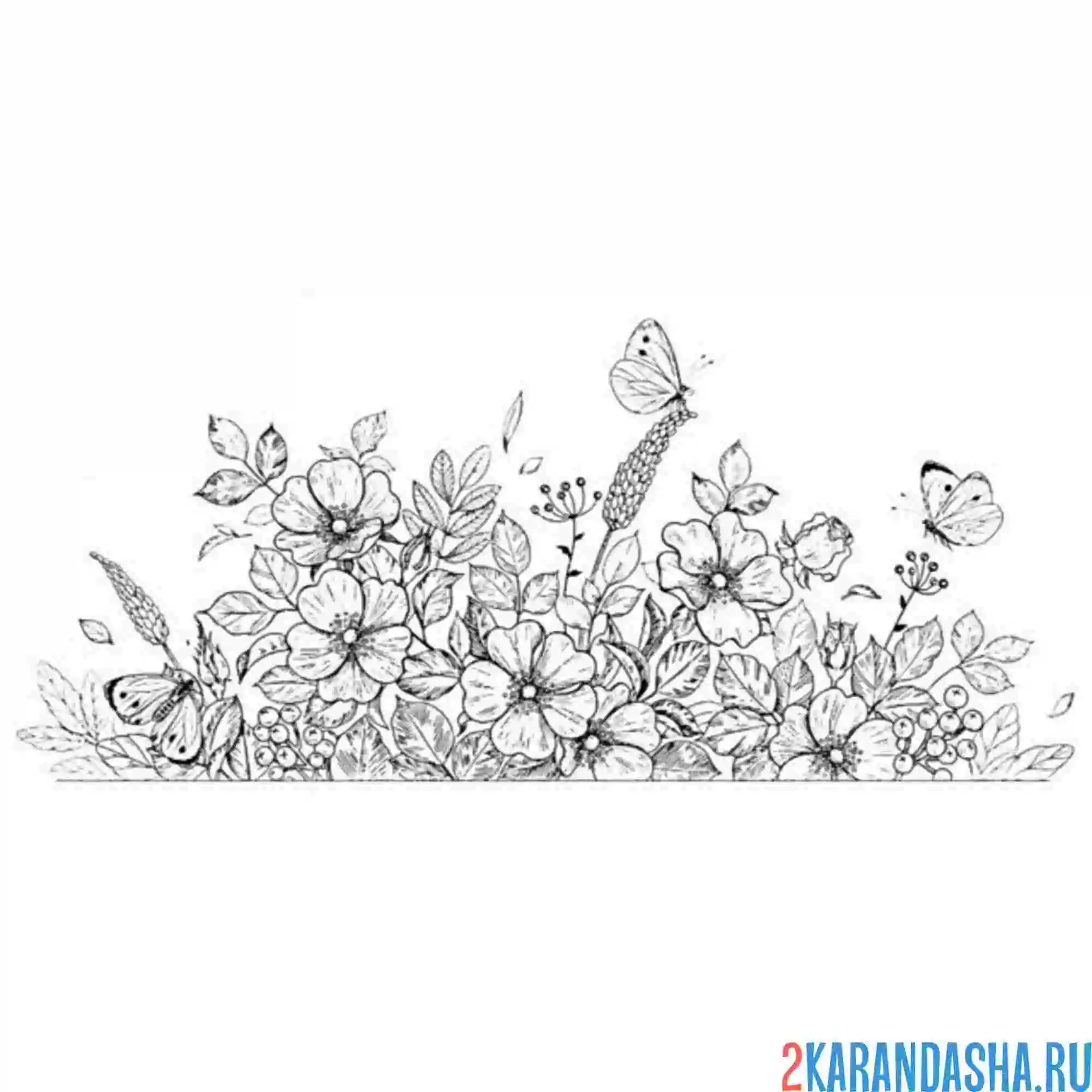 Раскраска бабочка в сакуре