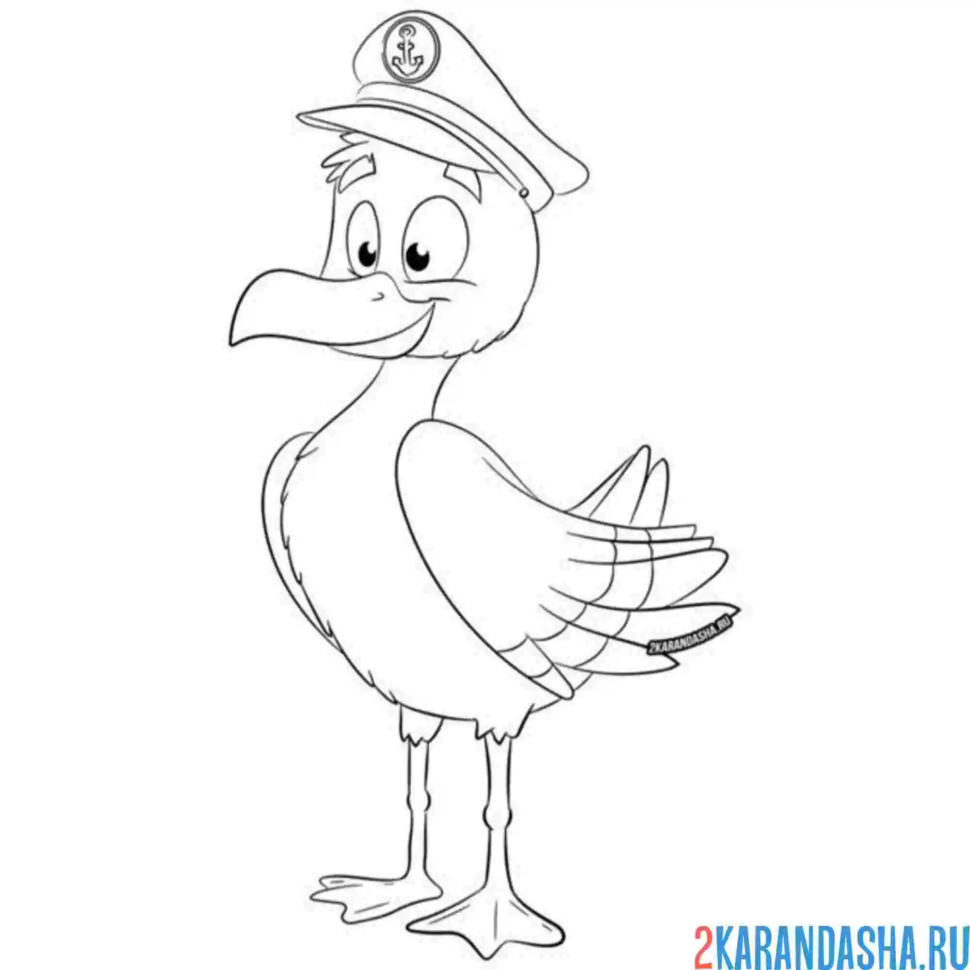 Раскраска чайка мультяшка капитан