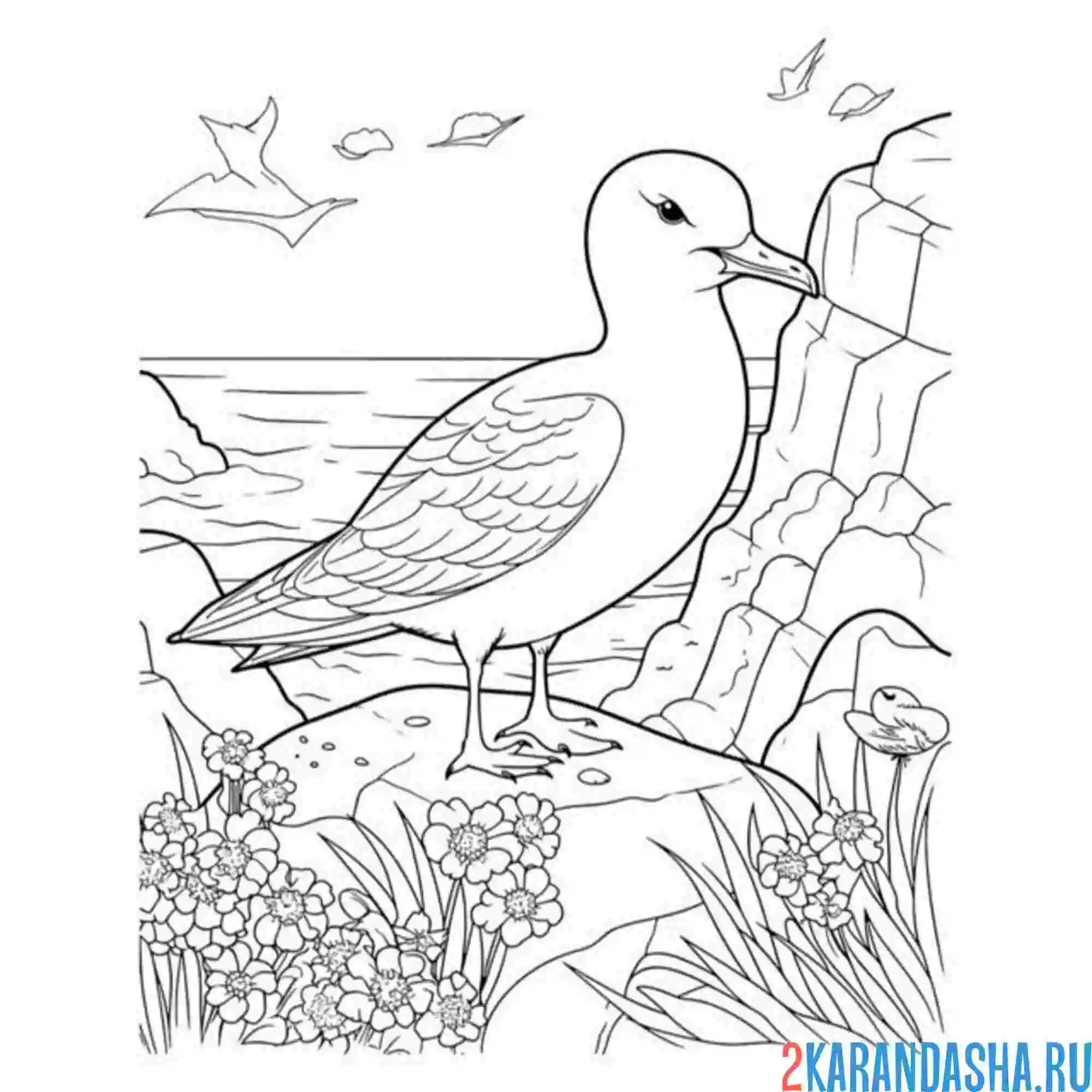 Раскраска чайка в скале