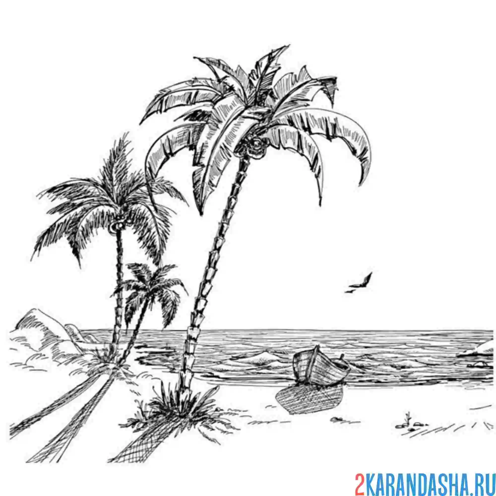 Раскраска пальма пляж чайка