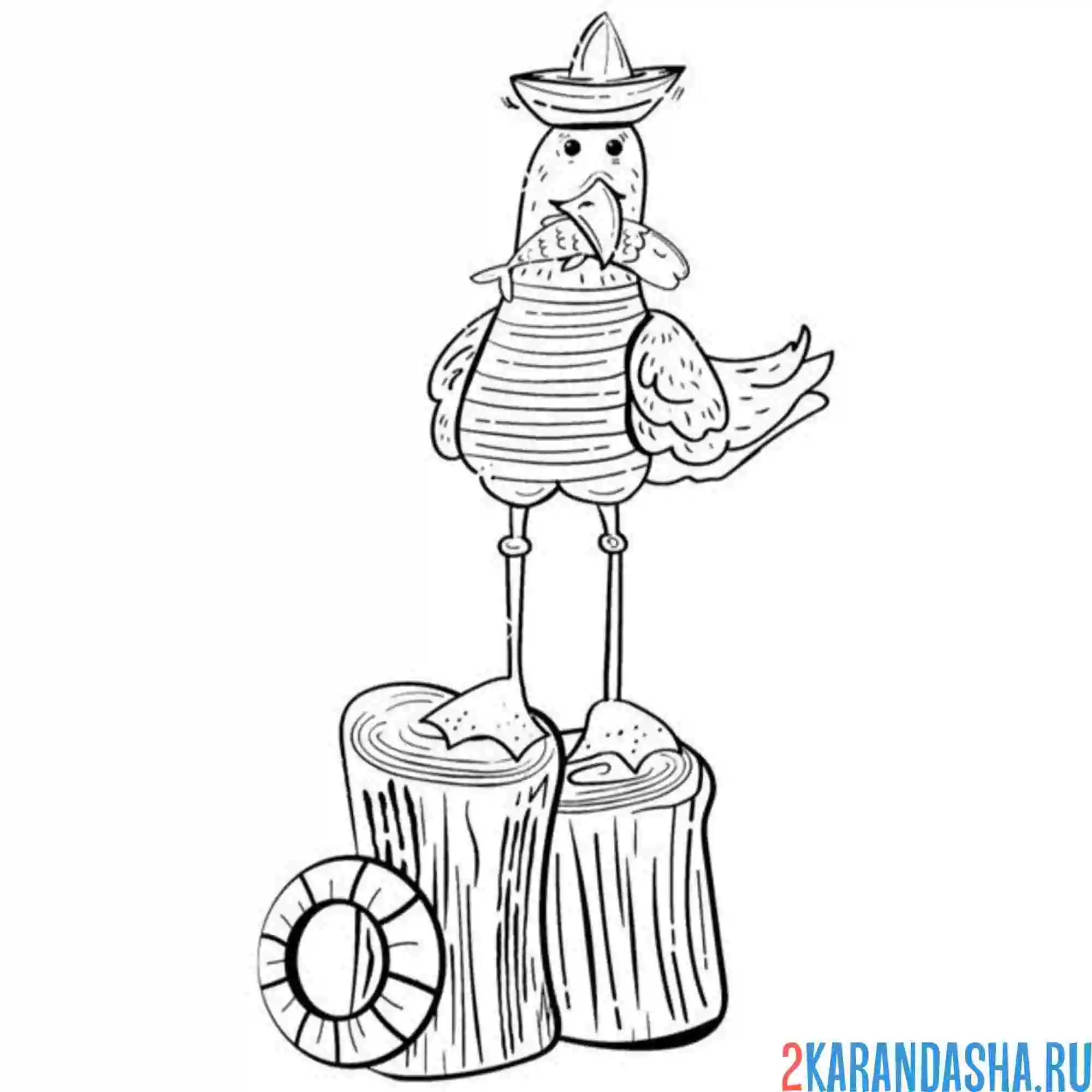 Раскраска чайка моряк