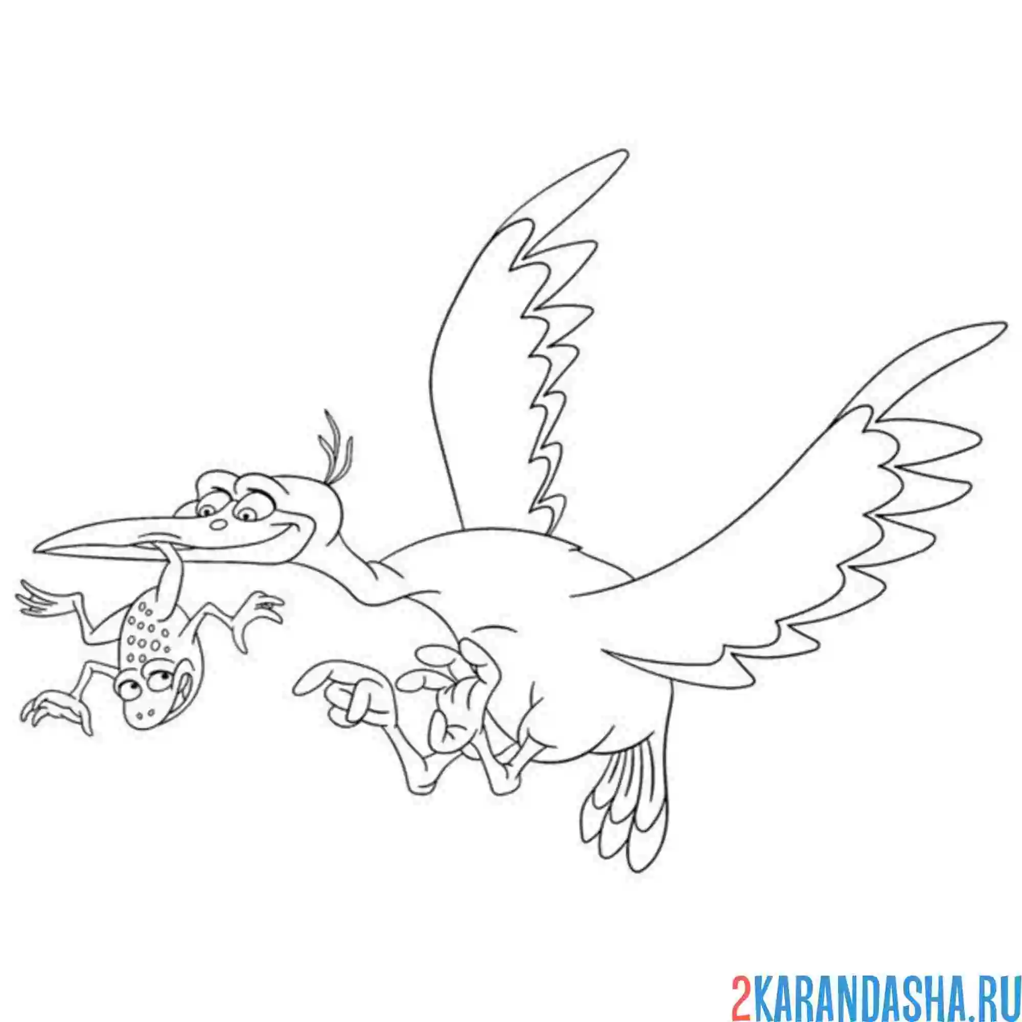 Раскраска чайка и лягушка