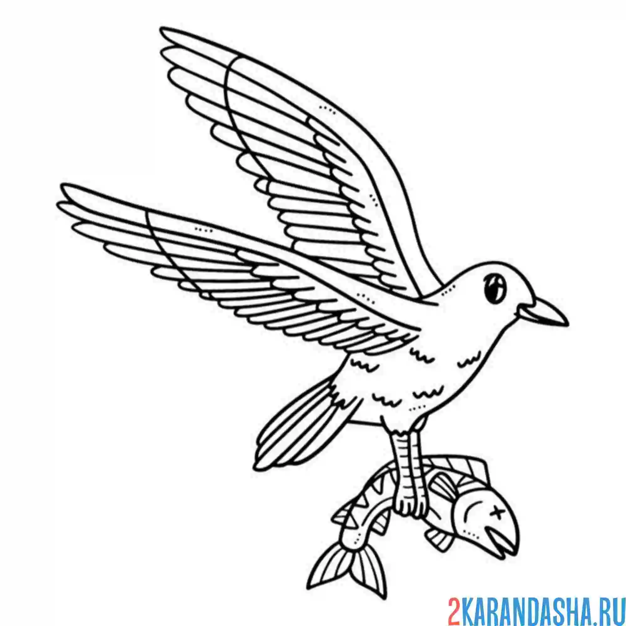 Раскраска чайка и рыбка