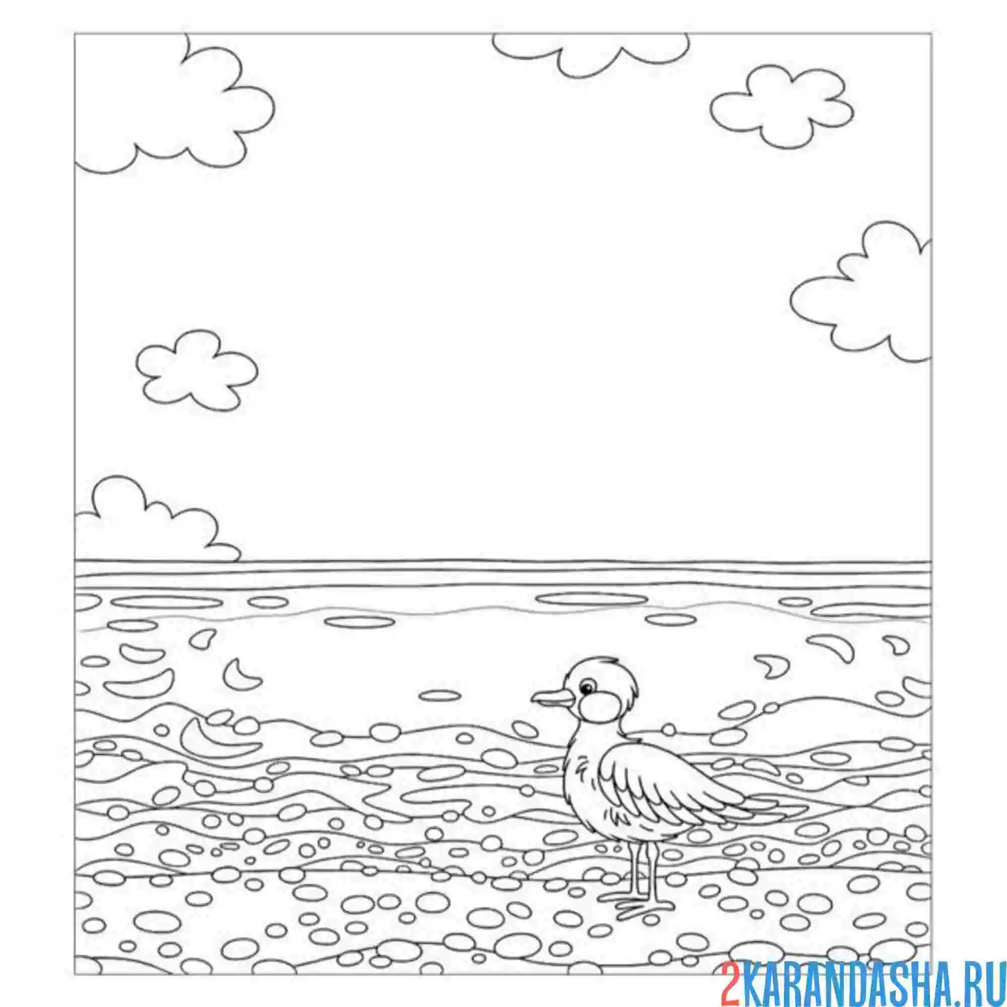 Раскраска чайка отдыхает на море