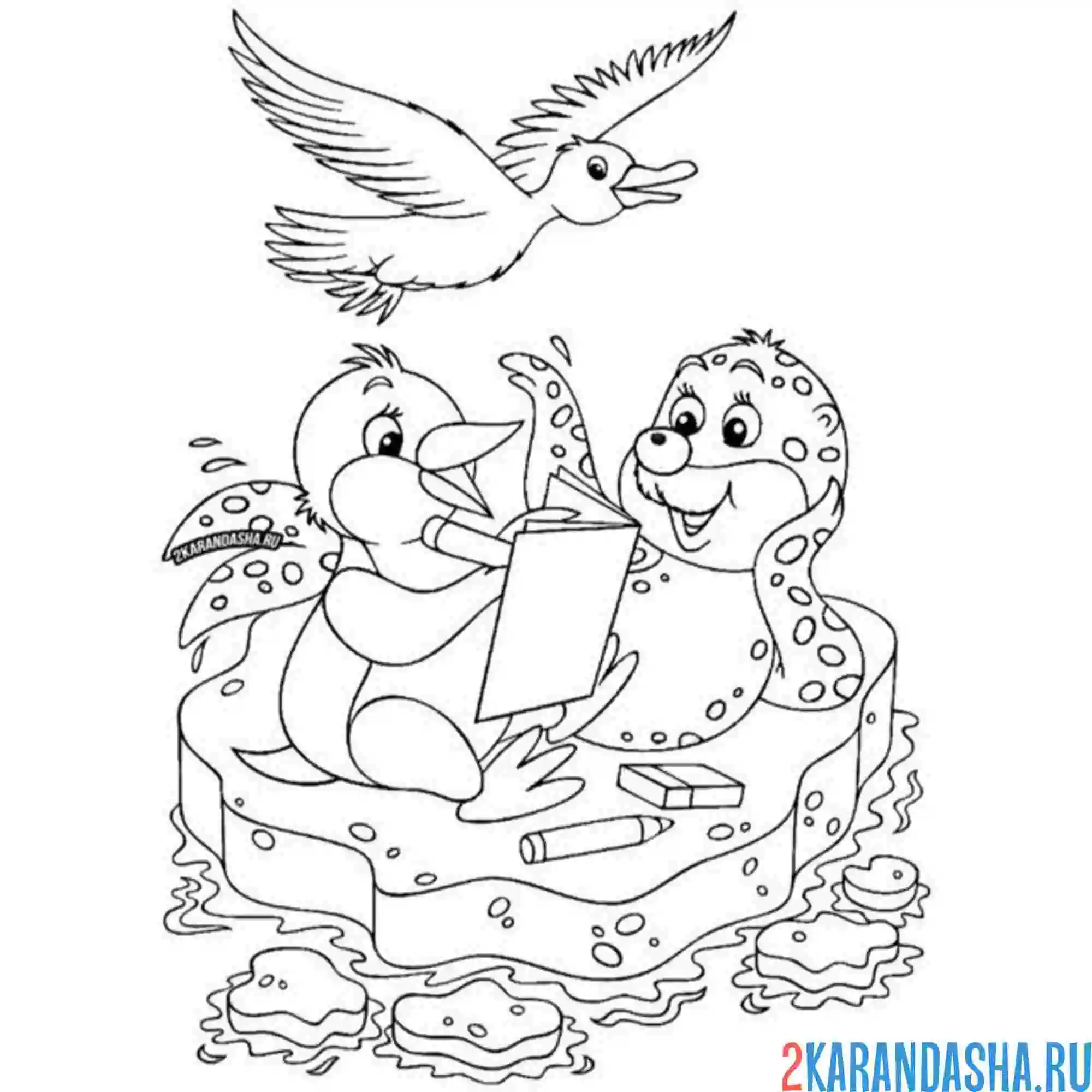 Раскраска пингвин чайка морской котик