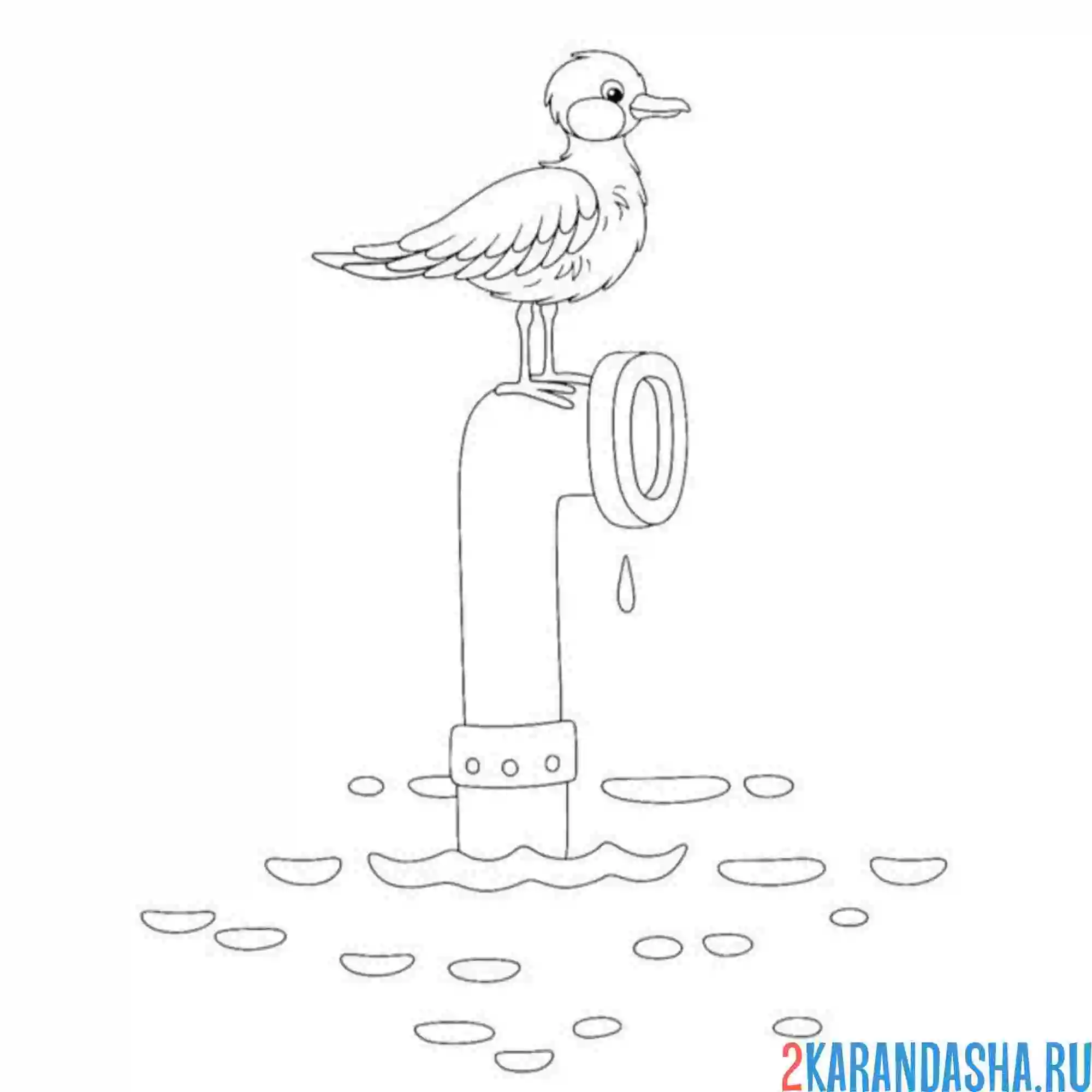 Раскраска чайка и подводная лодка