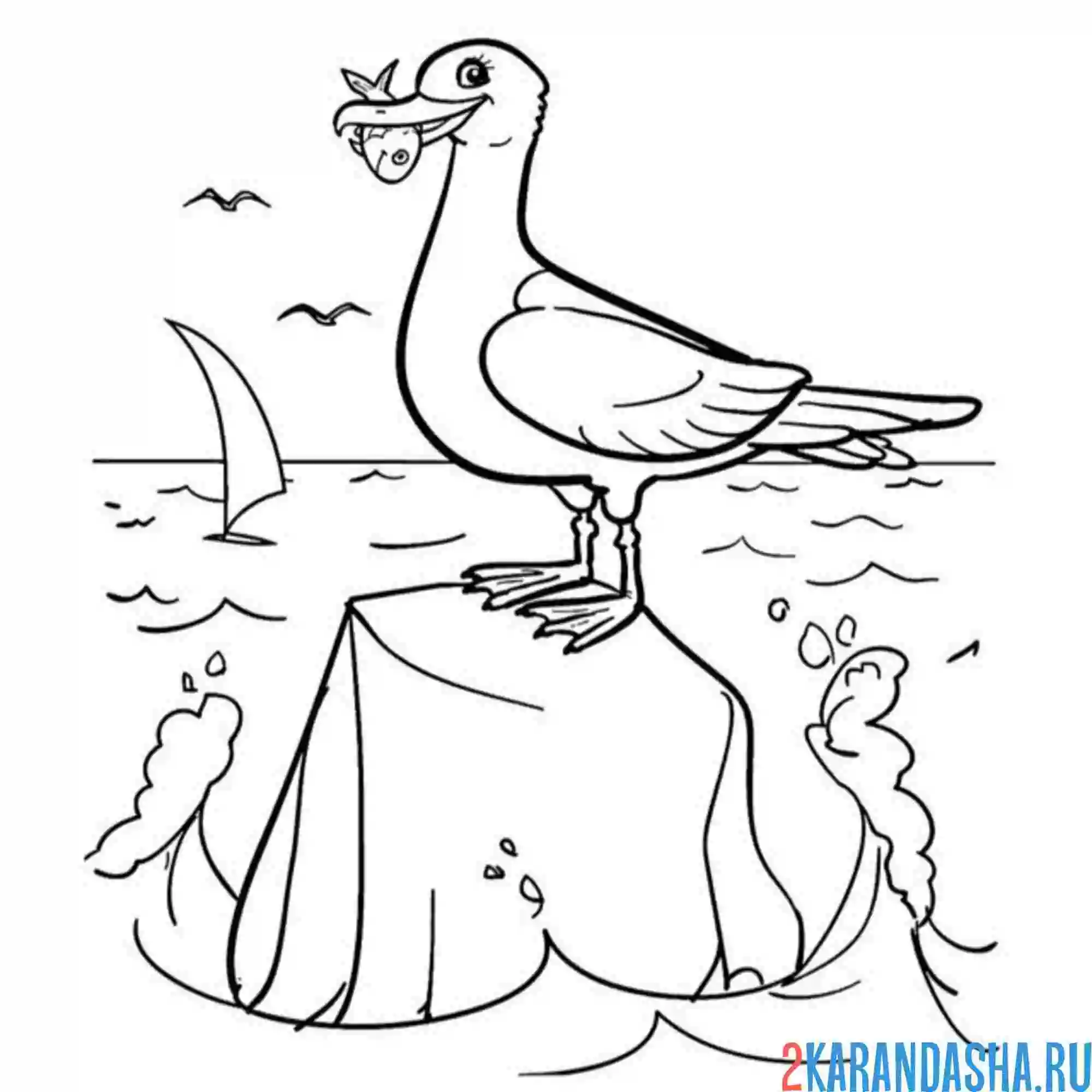 Раскраска чайка скалы рыба