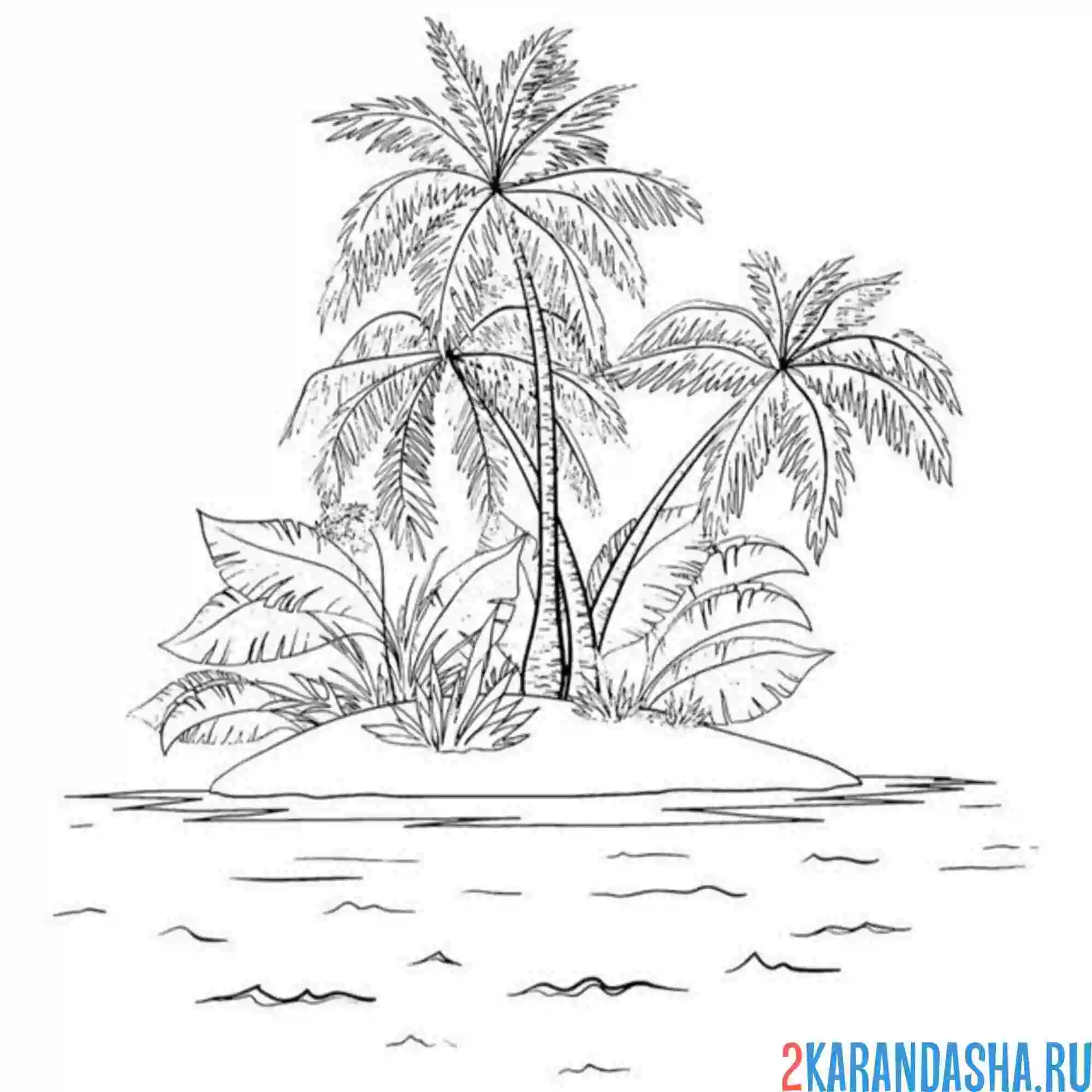 Раскраска много пальм на острове