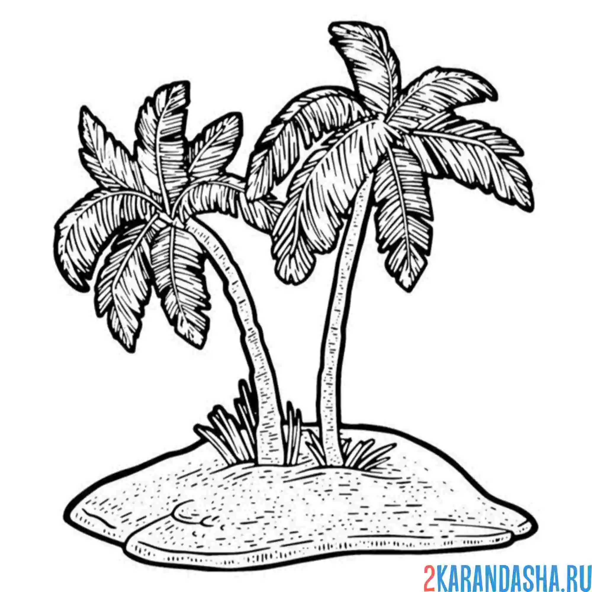 Раскраска две пальмы на песчаном острове
